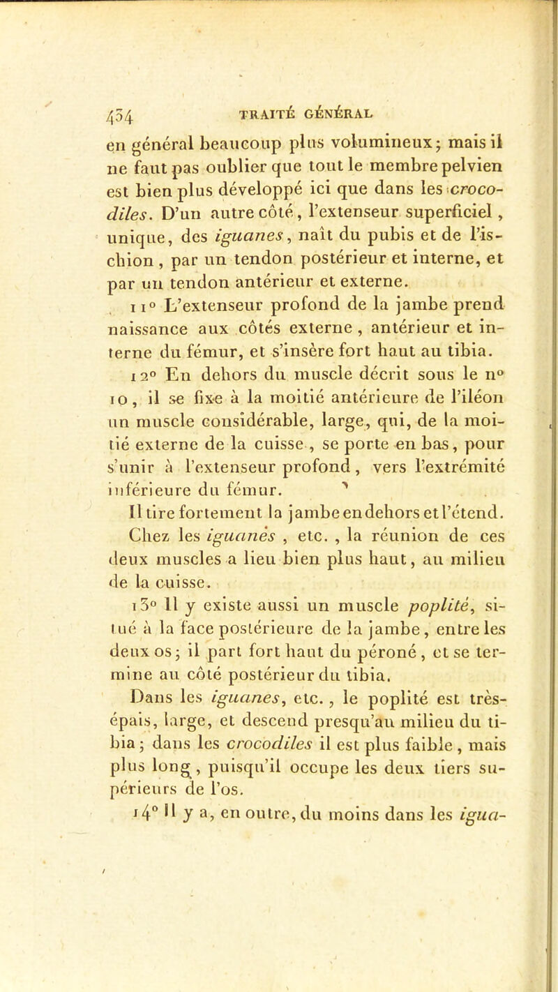 en général beaucoup plus volumineux j mais il ne faut pas oublier que tout le membre pelvien est bien plus développé ici que dans les .croco- diles. D’un autre côté, l’extenseur superficiel, unique, des iguanes^ naît du pubis et de l’is- chion , par un tendon postérieur et interne, et par un tendon antérieur et externe. 11° L’extenseur profond de la jambe prend naissance aux côtés externe , antérieur et in- terne du fémur, et s’insère fort haut au tibia. 12° En dehors du muscle décrit sous le n° lo, il se fixe à la moitié antérieure de l’iléon un muscle considérable, large, qui, de la moi- tié externe de la cuisse , se porte en bas, pour s’unir à l’extenseur profond, vers l’extrémité inférieure du fémur. ^ Il lire fortement la jambe en dehors et l’étend. Chez les iguanes , etc. , la réunion de ces deux muscles a lieu bien plus haut, au milieu de la cuisse. i5° Il y existe aussi un muscle poplité^ si- tué à la face postérieure de la jambe, entre les deux os J il part fort haut du péroné , et se ter- mine au côté postérieur du tibia. Dans les iguanes, etc., le poplité est très- épais, large, et descend presqu’au milieu du ti- bia; dans les crocodiles il est plus faible, mais plus lon^, puisqu’il occupe les deux tiers su- périeurs de l’os. i4“ Il y a, en outre, du moins dans les igua-