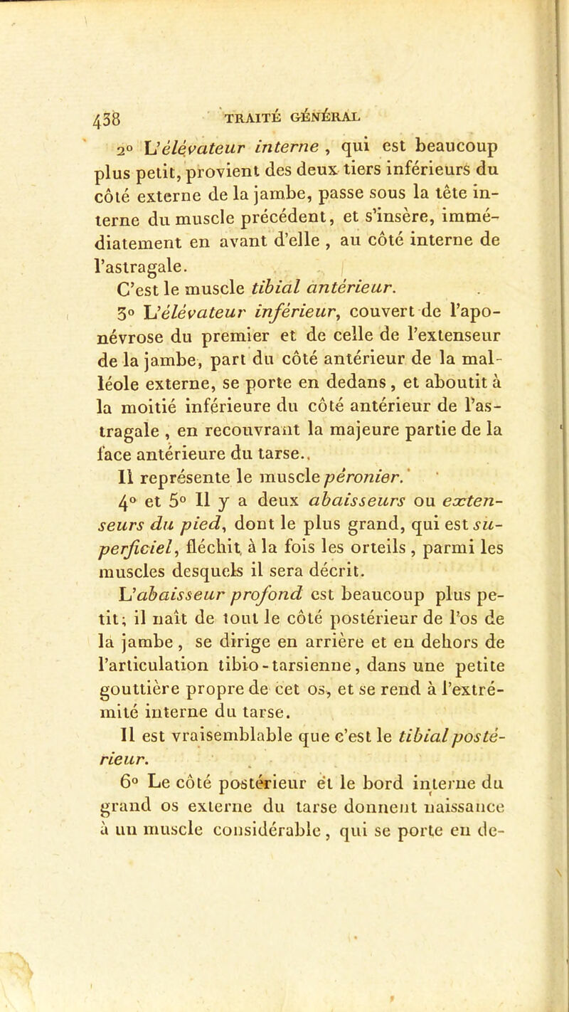 2° \Jélévateur interne , qui est beaucoup plus petit, provient des deux tiers inférieurs du côté externe de la jambe, passe sous la tête in- terne du muscle précédent, et s’insère, immé- diatement en avant d’elle , au côté interne de l’astragale. j C’est le muscle tibial antérieur. 3® élévateur inférieurcouvert de l’apo- névrose du premier et de celle de l’extenseur de la jambe, part du côté antérieur de la mal- léole externe, se porte en dedans, et aboutit à la moitié inférieure du côté antérieur de l’as- tragale , en recouvrant la majeure partie de la face antérieure du tarse.. 11 représente le muscle péronier. ‘ 4° et 5» Il y a deux ahaisseurs ou eæten- seurs du pied., dont le plus grand, qui est^zi- perficiel^ fléchit a la fois les orteils , parmi les muscles desquels il sera décrit, Uahaisseur profond est beaucoup plus pe- tit; il liait de tout le côté postérieur de l’os de la jambe, se dirige en arrière et eu dehors de l’articulation tibio - tarsienne, dans une petite gouttière propre de cet os, et se rend à l’extré- mité interne du tarse. 11 est vraisemblable que c’est le tibial posté- rieur. 6° Le côté postérieur et le bord interne du grand os externe du tarse donnent naissance à un muscle considérable, qui se porte eu de-