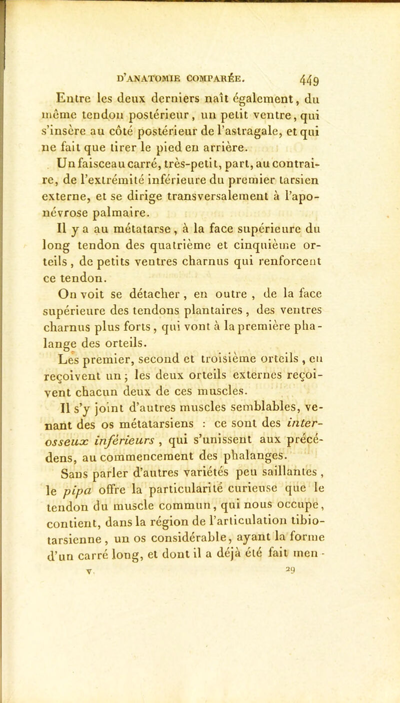 Entre les deux derniers naît également, du meme tendon postérieur, un petit ventre, qui s’insère au côté postérieur de l’astragale, et qui ne fait que tirer le pied eu arrière. Un faisceau carré, très-peti t, part, au contrai- re, de l’extrémité inférieure du premier tarsien externe, et se dirige transversalement à l’apo- névrose palmaire. Il y a au métatarse, à la face supérieure du long tendon des quatrième et cinquième or- teils , de petits ventres charnus qui renforcent ce tendon. On voit se détacher , en outre , de la face supérieure des tendons plantaires , des ventres charnus plus forts , qui vont à la première pha- lange des orteils. Les premier, second et troisième orteils , eu reçoivent un ; les deux orteils externes reçoi- vent chacun deux de ces muscles. Il s’y joint d’autres muscles semblables, ve- nant des os métatarsiens : ce sont des inter- osseux inférieurs , qui s’unissent aux précé- dens, au commencement des phalanges. Sans parler d’autres variétés peu saillantes , le pipa offre la particularité curieuse que le tendon du muscle commun, qui nous occupe, contient, dans la région de l’articulation tibio- tarsienne , un os considérable, ayant la forme d’un carré long, et dont il a déjà été fait men - 39 V,