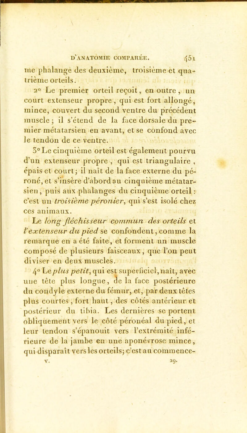 me phalange des deuxieme, troisième et qua- trième orteils. 2® Le premier orteil reçoit, en outre, un court extenseur propre, qui est fort allongé, mince, couvert du second ventre du précédent muscle; il s’étend de la face dorsale du pre- mier métatarsien en avant, et se confond avec le tendon de ce ventre. 5° Le cinquième orteil est également pourvu d’un extenseur propre , qui est triangulaire , épais et court; il naît de la face externe du pé- roné, et s’insère d’abord au cinquième métatar- sien, puis aux phalanges du cinquième orteil : c’est un troisième péronier, qui s’est isolé chez ces animaux. Le long fléchisseur commun des orteils et Vextenseur du pied se confondent, comme la remarque en a été faite, et forment un muscle composé de plusieurs faisceaux, que l’on peut diviser en deux muscles. 4° heplus petit, qui est supediciel,naît, avec une tête plus longue, ^e la face postérieure du condyle externe du fémur, et, par deux têtes plus courtes , fort haut, des côtés antérieur et postérieur du tibia. Les dernières se portent obliquement vers le côté péronéal du pied, et leur tendon s’épanouit vers l’extrémité infé- rieure de la jambe en une aponévrose mince, qui disparaît vers les orteils; c’est au cominence-