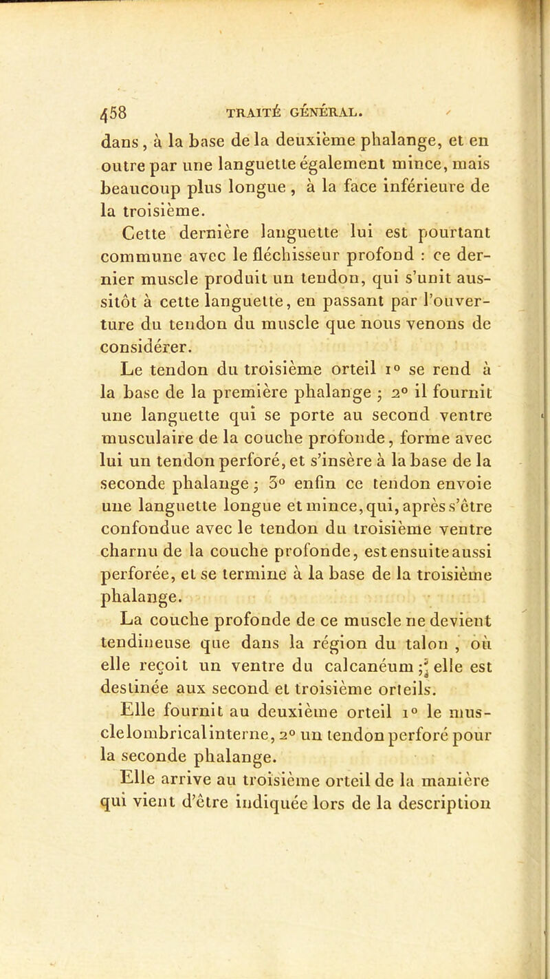 dans, à la base de la deuxième phalange, et en outre par une languette également mince, mais beaucoup plus longue , à la face inférieure de la troisième. Cette dernière languette lui est pourtant commune avec le fléchisseur profond : ce der- nier muscle produit un tendon, qui s’unit aus- sitôt à cette languette, en passant par l’ouver- ture du tendon du muscle que nous venons de considérer. Le tendon du troisième orteil i° se rend à la base de la première phalange j 2° il fournit une languette qui se porte au second ventre musculaire de la couche profonde, forme avec lui un tendon perforé, et s’insère à la base de la seconde phalange -, 3° enfin ce tendon envoie une languette longue et mince, qui, après s’être confondue avec le tendon du troisième ventre charnu de la couche profonde, est ensuite aussi perforée, et se termine à la base de la troisième phalange. La couche profonde de ce muscle ne devient tendineuse que dans la région du talon , où elle reçoit un ventre du calcanéum elle est destinée aux second et troisième orteils. Elle fournit au deuxième orteil 1° le mus- clelombricalinterne, 2® un tendon perforé pour la seconde phalange. Elle arrive au troisième orteil de la manière qui vient d’être indiquée lors de la description