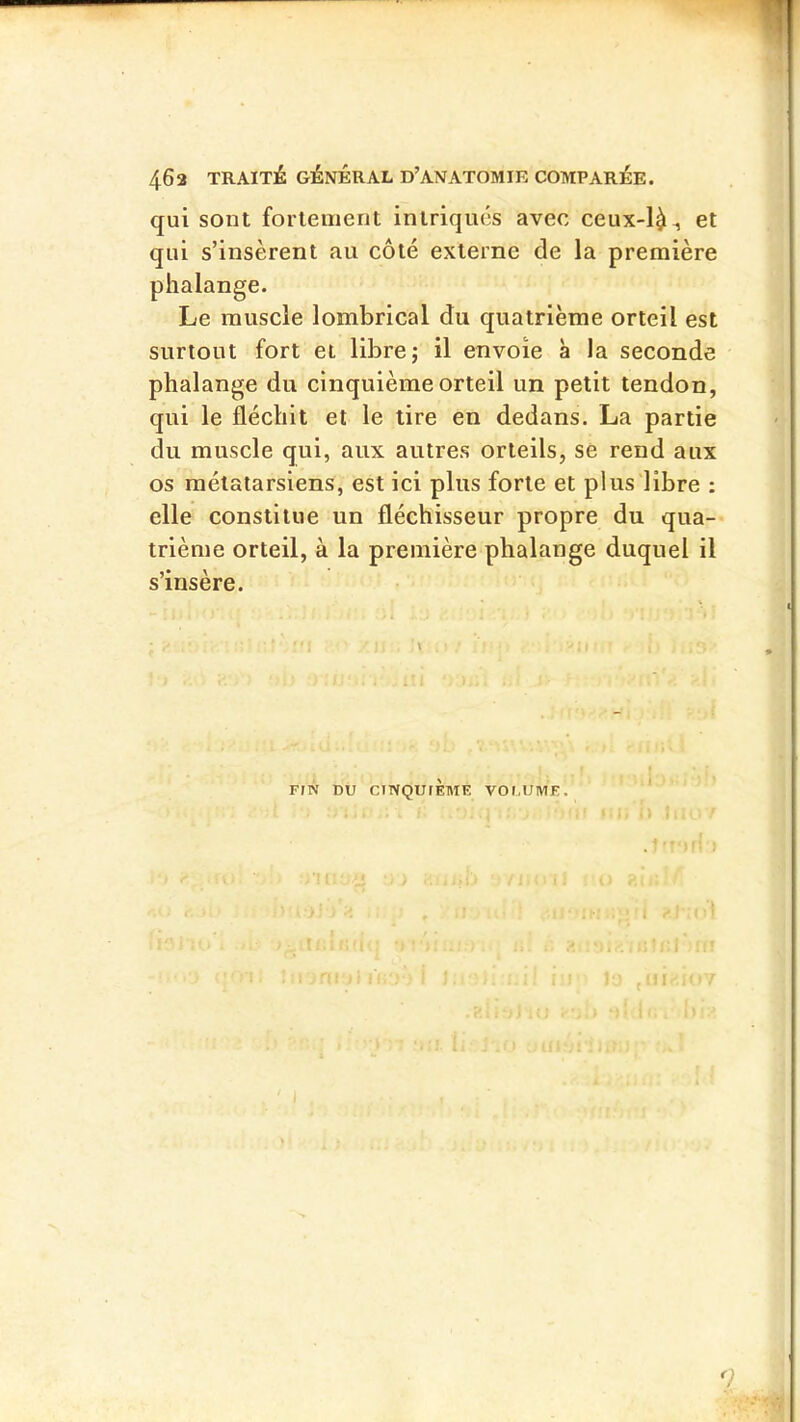 463 TRAITÉ GÉNÉRAL d’anatomie COMPARÉE. qui sont fortement intriqués avec ceux-1^^ et qui s’insèrent au côté externe de la première phalange. Le muscle lombrical du quatrième orteil est surtout fort et libre; il envoie à la seconde phalange du cinquième orteil un petit tendon, qui le fléchit et le tire en dedans. La partie du muscle qui, aux autres orteils, se rend aux os métatarsiens, est ici plus forte et plus libre : elle constitue un fléchisseur propre du qua- trième orteil, à la première phalange duquel il s’insère. FIN DU CINQUlÈlWE VOI.UME. : I \