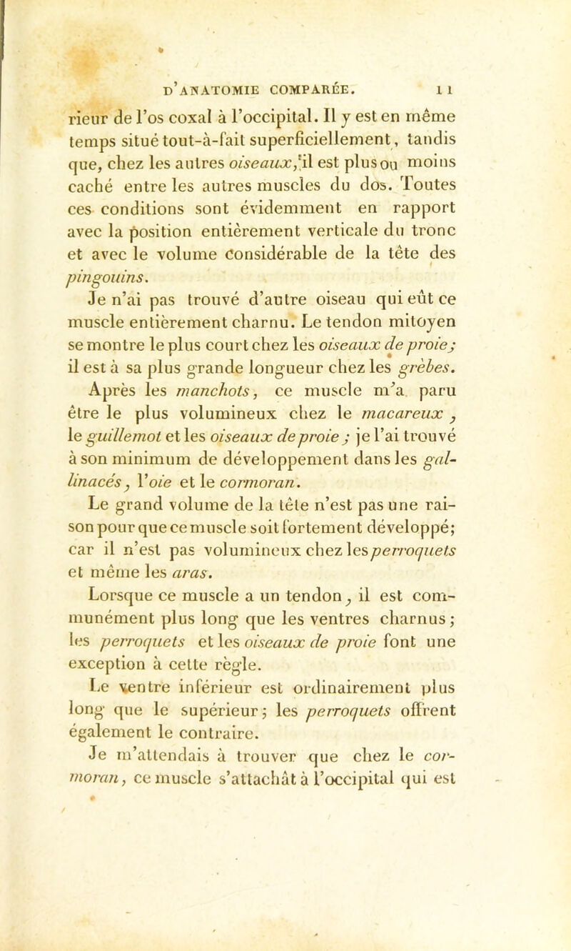 rieur de l’os coxal à l’occipital. Il y est en même temps situétout-à-fail superficiellement, tandis que, chez les autres oiseaux,est plus ou nioins caché entre les autres muscles du dos. Toutes ces conditions sont évidemment en rapport avec la position entièrement verticale du tronc et avec le volume considérable de la tête des f pingouins. Je n’ai pas trouvé d’autre oiseau qui eût ce muscle entièrement charnu. Le tendon mitoyen se montre le plus court chez les oiseaux de proiej il est à sa plus grande longueur chez les grèbes. Après les manchots, ce muscle m^a paru être le plus volumineux chez le macareux , le guillemot et les oiseaux de proie ; je l’ai trouvé à son minimum de développement dans les gal- linacés y Voie cormoj'an. Le grand volume de la tête n’est pas une rai- son pour que ce muscle soit fortement développé; car il n’est pas volumineux chez les^er/-o^?^ei^ et même les aras. Lorsque ce muscle a un tendon^ il est com- munément plus long que les ventres charnus; les perrocpiets oiseaux de proie {onl une exception à celte règle. Le ventre inférieur est ordinairement plus long que le supérieur; les perroquets offrent également le contraire. Je m’attendais à trouver que chez le cor- moran, ce muscle s’attachât à l’occipital qui est