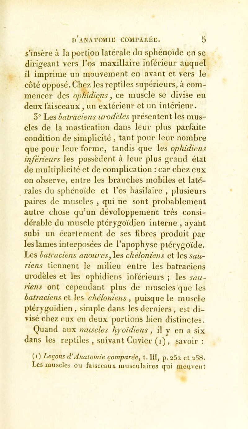 s’insère à la portion latérale du spliénoïde en sc dirigeant vers l’os maxillaire inférieur auquel il imprime un mouvement en avant et vers le côté opposé. Chez les reptiles supérieurs, à com- mencer des ophidiens J ce muscle se divise en deux faisceaux^ un extérieur et un intérieur. 3“ Les batraciens urod'eles présentent les mus- cles de la mastication dans leur plus parfaite condition de simplicité , tant pour leur nombre que pour leur forme, tandis que les ophidiens inférieurs les possèdent à leur plus grand état de multiplicité et de complication : car chez eux on observe, entre les branches mobiles et laté- rales du sphénoïde et l’os basilaire , plusieurs paires de muscles , qui ne sont probablement autre chose qu’un développement très consi- dérable du muscle ptérygoidien interne , ayant subi un écartement de ses fibres produit par les lames interposées de l’apophyse ptérygoïde. Les batraciens anoures, les chéloniens et les sau- riens tiennent le milieu entre les batraciens urodèles et les ophidiens inférieurs ; les sau- riens ont cependant plus de muscles que les batraciens ei les chéloniens, puisque le muscle ptérygoidien , simple dans les derniers , est di- visé chez eux en deux portions bien distinctes. Quand aux muscles hyoïdiens, il y en a six dans les reptiles , suivant Cuvier (i), savoir : (i) Leçons A'Anatomie comparée, t. lit, et 258. Les muscles ou faisceaux musculaires qui meuvent