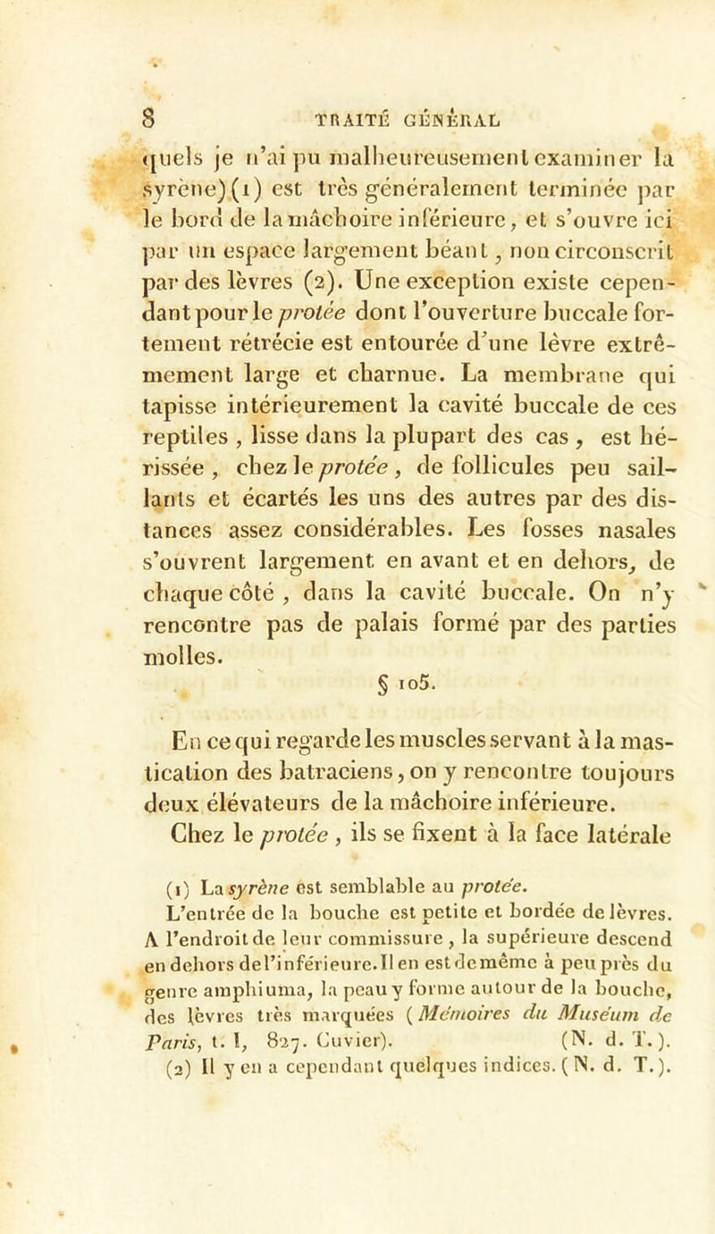 (jiieîs je n’ai pu malliemeusenienl examiner la syrène)(i) est 1res généralement terminée jiar le bord de la mâchoire inférieure, et s’ouvre ici par un espace largement béant, non circonscrit par des lèvres (2). Une exception existe cepen- dant pour le proiée dont l’ouverture buccale for- tement rétrécie est entourée d’une lèvre extrê- mement large et charnue. La membrane qui tapisse intérieurement la cavité buccale de ces reptiles , lisse dans la plupart des cas , est hé- rissée , Q\iQz\çprotée , de follicules peu sail- lants et écartés les uns des autres par des dis- tances assez considérables. Les fosses nasales s’ouvrent largement en avant et en dehors, de chaque côté , dans la cavité buccale. On n’y rencontre pas de palais formé par des parties molles. § ,o5. En ce qui regarde les muscles servant à la mas- tication des batraciens, on y rencontre toujours deux élévateurs de la mâchoire inférieure. Chez le proiée , ils se fixent à la face latérale (1) hdi syrène est semblable au proiée. L’entrée de la bouche est petite et bordée de lèvres. A l’endroit de leur commissure , la supérieure descend en dehors del’inférieure.Il en estdemême à peu près du genre araphiuma, la peau y forme autour de la bouche, des lèvres très marquées ( Mémoires du Muséum d,e Paris, t. l, 8*27. Cuvier), (N. d. T.). (2) Il yen a cependant quelques indices. (IS. d. T.).