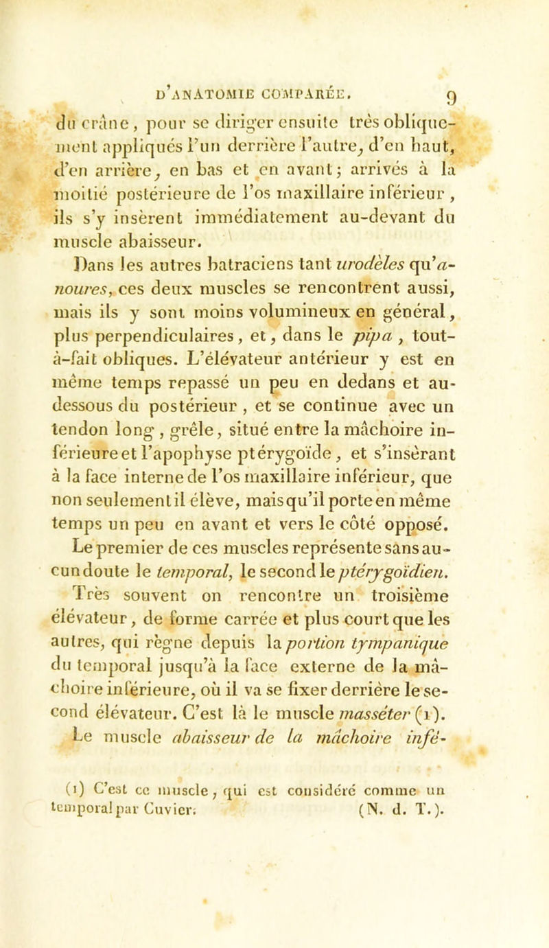 du crâne, pour sc diriger ensuite très oblujuc- inonl appliqués Fun derrière l’autre^, d’en haut, d’en arrière^ en bas et en avant; arrivés à la moitié postérieure de l’os maxillaire inférieur , ils s’y insèrent immédiatement au-devant du muscle abaisseur. Dans les autres batraciens tant urodèles qu’a- noures, ces deux muscles se rencontrent aussi, mais ils y sont moins volumineux en général, plus perpendiculaires, et, dans le pipa , tout- à-fait obliques. L’élévateur antérieur y est en même temps repassé un peu en dedans et au- dessous du postérieur , et se continue avec un tendon long , grêle, situé entre la mâchoire in- férieure et l’apophyse ptérygoïde , et s’insérant à la face interne de l’os maxillaire inférieur, que non seulement il élève, mais qu’il porte en même temps un peu en avant et vers le côté opposé. Le premier de ces muscles représente sans au- cun doute le temporal, \c seconà\eptérjgoïdien. Très souvent on rencontre un troisième élévateur, de forme carrée et plus court que les autres, qui règne depuis \diportion tympanique du temporal jusqu’à la face externe de la mâ- choire inférieure, où il va se fixer derrière le se- cond élévateur. C’est là le muscle (i). Le muscle abaisseur de la mâchoire infé' (i) C’est ce muscle, qui est cousidcic comme un tcuipoia!par Cuvier. (N. d. T.).