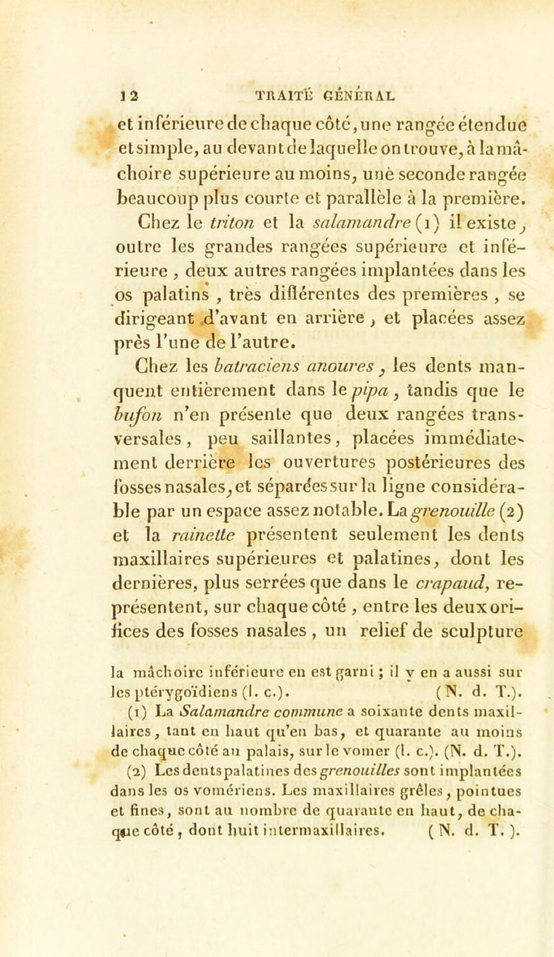 et inférieure de chaque côté, une rangée étendue et simple, au devant de laquelle on trouve, à la mâ- choire supérieure au moins, uriè seconde rangée beaucoup plus courte et parallèle à la première. Chez le triton et la salamandre {i) il existe^ outre les grandes rangées supérieure et infé- rieure , deux autres rangées implantées dans les os palatins , très diflérentes des premières , se dirigeant .d’avant en arrière , et placées assez près l’iine de l’autre. Chez les batraciens anoures y les dents man- quent entièrement dans \epipa, tandis que le bufon n’en présente que deux rangées trans- versales, peu saillantes, placées immédiate» ment derrière les ouvertures postérieures des fosses nasales, et séparées sur la ligne considéra- ble par un espace assez notable, hd.grenouille (2) et la rainette présentent seulement les dents maxillaires supérieures et palatines, dont les dernières, plus serrées que dans le crapaud, re- présentent, sur chaque côté , entre les deuxori- bces des fosses nasales , un relief de sculpture la mâchoire inférieure eu est garni ; il y en a aussi sur les ptérygoïdiens (I. c.). (N. d. T.). (1) La Salamandre commune a soixante dents maxil- laires, tant en haut qu’en bas, et quarante au moins de chaque côté au palais, surlevomer (1. c.). (N. d. T.). (2) Les dents palatines grenouilles sont implantées dans les os vomériens. Les maxillaires grêles, pointues et fines, sont au nombre de quarante en haut, de cha- que côté , dont huit intermaxillaires. (N. d. T.).