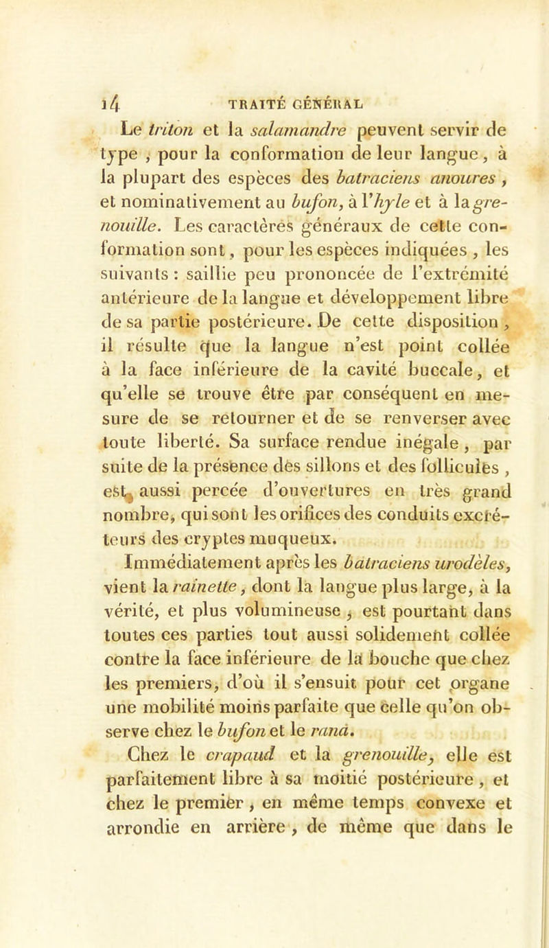 ]4 TRAITÉ GÉÏIÉUAL Le triton et la salamandre peuvent servir de tjpe ji pour la conformation de leur langue, à la plupart des espèces des batraciens anoures , et nominativement au bufon, à Vhjle et à \digre- nouille. Les caractères généraux de cette con- formation sont, pour les espèces indiquées , les suivants : saillie peu prononcée de l’extrémité antérieure de la langue et développement libre de sa partie postérieure. De celte disposition, il résulte que la langue n’est point collée à la face inférieure de la cavité buccale, et qu’elle se trouve être par conséquent en me- sure de se retourner et de se renverser avec toute liberté. Sa surface rendue inégale , par suite de la préslence dès sillons et des follicuiès , esi^ aussi percée d’ouvertures en très grand nombrej qui sont les orifices des conduits excré- teurs des cryptes muqueux. Immédiatement après les batraciens urodèlesy vient \2i rainette, dont la langue plus large, à la vérité, et plus volumineuse ^ est pourtant dans toutes ces parties tout aussi solidement collée contre la face inférieure de Id bouche que chez les premiers, d’où il s’ensuit pour cet prgane une mobilité moins parfaite que celle qu’on ob- serve chez le bufon ei le rand. Chez le crapaud et la grenouille^ elle est parfaitement libre à sa moitié postérieure, et chez le premièr , en même temps convexe et arrondie en arrière , de même que dans le