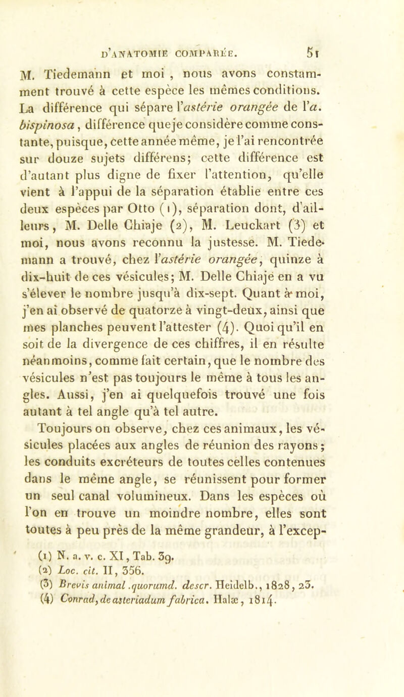M. Tiedemann et rnoi , nous avons constam- ment trouvé à cette espèce les mêmes conditions. La différence qui sépare Vastérie orangée de Va. bispinosa , différence que je considère comme cons- tante, puisque, Cette année même, je l’ai rencontrée sur douze sujets différens; cette différence est d’autant plus digne de fixer l’attention, qu’elle vient à l’appui de la séparation établie entre ces deux espèces par Otto (i), séparation dont, d’ail- leurs, M. Delle Chiaje (2), M. Leückart (3) et moi, nous avons reconnu la justesse. M. Tiede- mann a trouvé, chez Xastérie orangée, quinze à dix-huit de ces vésicules; M. Delle Chiaje en a vu s’élever le nombre jusqu’à dix-sept. Quant à* moi, j’en ai observé de quatorze à vingt-deux, ainsi que mes planches peuvent l’attester (4). Quoiqu’il en soit de la divergence de ces chiffres, il en résulte néanmoins, comme fait certain, que le nombre des vésicules n’est pas toujours le même à tous les an- gles. Aussi, j’en ai quelquefois trouvé une fois autant à tel angle qu’à tel autre. Toujours on observe, chez ces animaux, les vé- sicules placées aux angles de réunion des rayons; les conduits excréteurs de toutes celles contenues dans le même angle, se réunissent pour former un seul canal volumineux. Dans les espèces où l’on en trouve un moindre nombre, elles sont toutes à peu près de la même grandeur, à l’excep- (1) N. a. v. c. XI, Tab. 3g. (2) Loc. cit. II, 356. (3) Brcuis animal .(juorumd. descr. îleidelb., 1828,23.