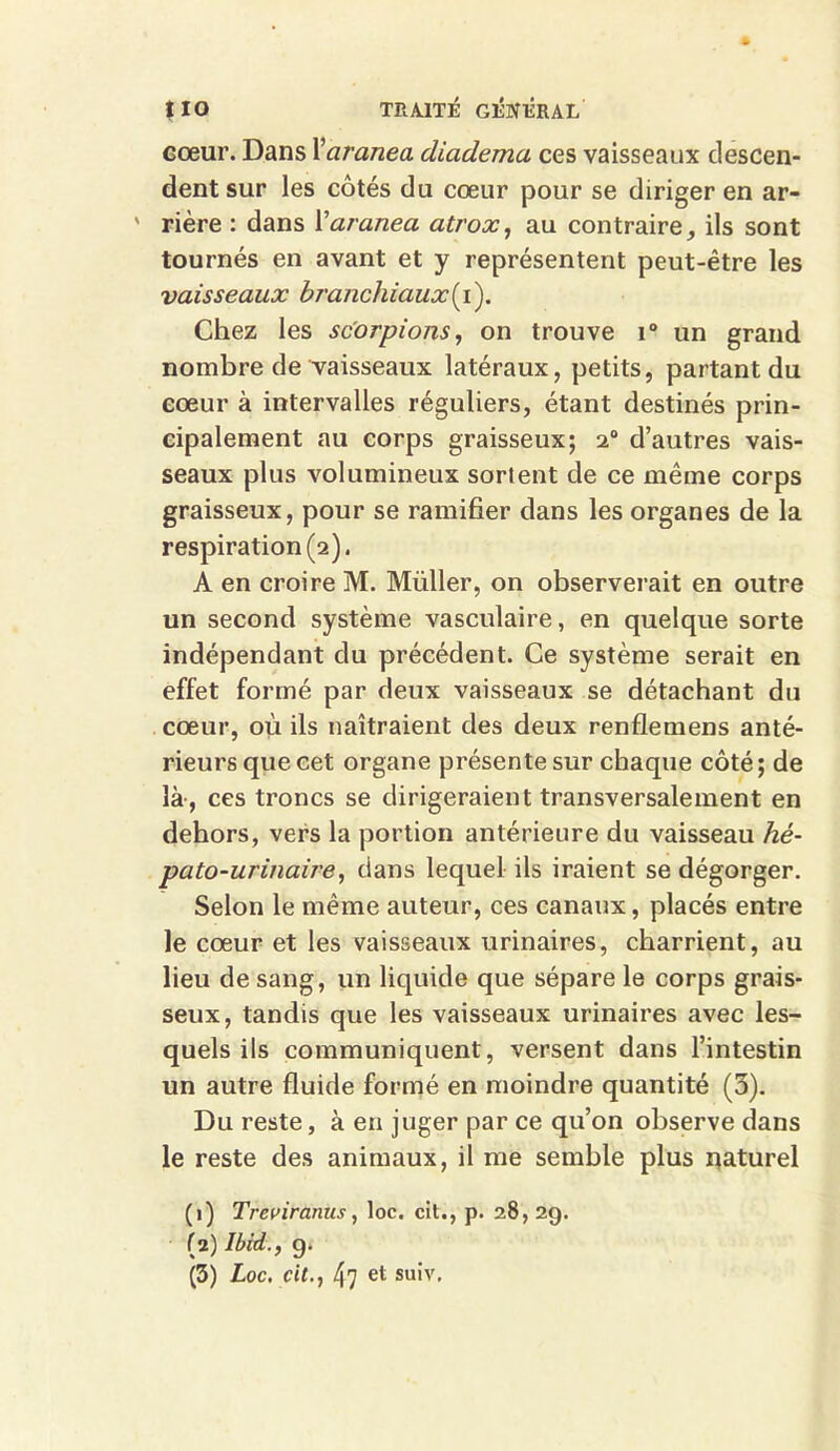cœur. Dans Xaranea diadema ces vaisseaux descen- dent sur les côtés du cœur pour se diriger en ar- ' rière : dans Xaranea atrox, au contraire, ils sont tournés en avant et y représentent peut-être les vaisseaux branchiaux(i). Chez les scorpions, on trouve i° un grand nombre de vaisseaux latéraux, petits, partant du cœur à intervalles réguliers, étant destinés prin- cipalement au corps graisseux; 20 d’autres vais- seaux plus volumineux sortent de ce même corps graisseux, pour se ramifier dans les organes de la respiration (2). A en croire M. Müller, on observerait en outre un second système vasculaire, en quelque sorte indépendant du précédent. Ce système serait en effet formé par deux vaisseaux se détachant du cœur, où ils naîtraient des deux renflemens anté- rieurs que cet organe présente sur chaque côté ; de là-, ces troncs se dirigeraient transversalement en dehors, vers la portion antérieure du vaisseau hé- pato-urinaire, dans lequel ils iraient se dégorger. Selon le même auteur, ces canaux, placés entre le cœur et les vaisseaux urinaires, charrient, au lieu de sang, un liquide que sépare le corps grais- seux, tandis que les vaisseaux urinaires avec les- quels ils communiquent, versent dans l’intestin un autre fluide formé en moindre quantité (3). Du reste, à en juger par ce qu’on observe dans le reste des animaux, il me semble plus naturel (1) Treviranus, loc. cit., p. 28, 29. (2) Ibid., g.