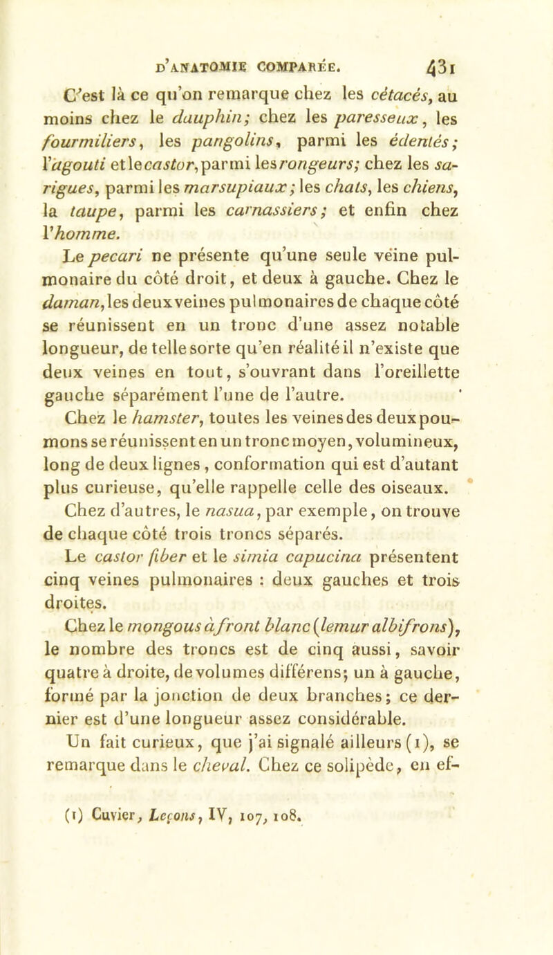 C'est là ce qu’on remarque chez les cétacés, au moins chez le dauphin; chez les paresseux, les fourmiliers, les pangolins, parmi les édentés; Xdgouti etlecfl^or,parmi lesrongeurs; chez les sa- rigues, parmi les marsupiaux ; les chats, les chiens, la taupe, parmi les carnassiers ; et enfin chez Vhomme. Le pécari ne présente qu’une seule veine pul- monaire du côté droit, et deux à gauche. Chez le daman, les deux veines pul monaires de chaque côté se réunissent en un tronc d’une assez notable longueur, de telle sorte qu’en réalité il n’existe que deux veines en tout, s’ouvrant dans l’oreillette gauche séparément l’une de l’autre. Chez le hamster, toutes les veinesdes deuxpou- mons se réunissent en un tronc moyen, volumineux, long de deux lignes , conformation qui est d’autant plus curieuse, quelle rappelle celle des oiseaux. Chez d’autres, le nasua, par exemple, on trouve de chaque côté trois troncs séparés. Le castor fiber et le simia capucina présentent cinq veines pulmonaires : deux gauches et trois droites. Chez le mongous àfront blanc (lemur al b ifro ns), le nombre des troncs est de cinq aussi, savoir quatre à droite, de volumes différens; un à gauche, formé par la jonction de deux branches; ce der- nier est d’une longueur assez considérable. Un fait curieux, que j’ai signalé ailleurs (1), se remarque dans le cheval. Chez ce solipède, en ef- (t) Cuvier, Leçons, IV, 107, 108.