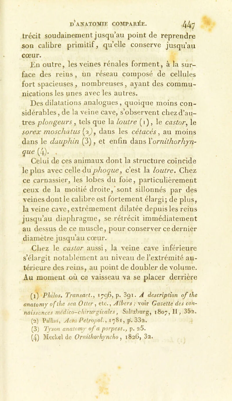 trécit soudainement jusqu’au point de reprendre son calibre primitif, quelle conserve jusqu’au cœur. En outre, les veines rénales forment, à la sur- face des reins, un réseau composé de cellules fort spacieuses, nombreuses, ayant des commu- nications les unes avec les autres. Des dilatations analogues, quoique moins con- sidérables, de la veine cave, s’observent chez d’au- tres plongeurs , tels que la loutre ( 1 ), le castor, le sorex moscliatus (2), dans les cétacés, au moins dans le dauphin (3), et enfin dans 1 'ornithorhyn- que (4). . Celui de ces animaux dont la structure coïncide le plus avec celle du phoque, c’est la loutre. Chez ce carnassier, les lobes du foie, particulièrement ceux de la moitié droite, sont sillonnés par des veines dont le calibre est fortement élargi; de plus, la veine cave, extrêmement dilatée depuis les reins jusqu’au diaphragme, se rétrécit immédiatement au dessus de ce muscle, pour conserver ce dernier diamètre jusqu’au cœur. Chez le castor aussi, la veine cave inférieure s’élargit notablement au niveau de l’extrémité an- térieure des reins, au point de doubler de volume. Au moment où ce vaisseau va se placer derrière (1) Philos. Transact., 1796, p. 3g 1. A description of tlie analomy of the sca O lier , etc., Albcrs ; voir Gazette des con- naissances mcdico-chirurgicales, Saltzburg, 1807,11, 35a. (2) Pallas, Acta Pelropol., 1781, p. 332. (3) Tyson analomy of a porpcss., p. 25. (4) Meckel de Ornithorhyncho, 1826, 32.