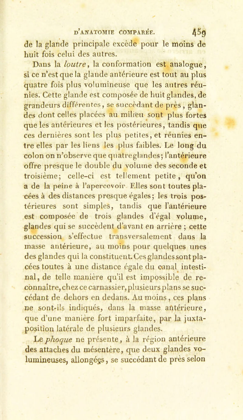 de la glande principale excède pour le moins de huit fois celui des autres. Dans la loutre, la conformation est analogue, si ce n’est que la glande antérieure est tout au plus quatre fois plus volumineuse que les autres réu- nies. Cette glande est composée de huit glandes, de grandeurs différentes, se succédant de près, glan- des dont celles placées au milieu sont plus fortes que les antérieures et les postérieures, tandis que ces dernières sont les plus petites, et réunies en- tre elles par les liens les plus faibles. Le long du colon on n’observe que quatreglandes; l’antérieure offre presque le double du volume des seconde et troisième; celle-ci est tellement petite, qu’on a de la peine à l’apercevoir Elles sont toutes pla- cées à des distances presque égales; les trois pos- térieures sont simples, tandis que l’antérieure est composée de trois glandes d’égal volume, glandes qui se succèdent d’avant en arrière ; cette succession s’effectue transversalement dans la masse antérieure, au moins pour quelques unes des glandes qui la constituent. Ces glandes sont pla- cées toutes à une distance égale du oanal intesti- nal, de telle manière qu’il est impossible de re- connaître, chez ce carnassier, plusieurs plans se suc- cédant de dehors en dedans. Au moins , ces plans ne sont-ils indiqués, dans la masse antérieure, que d’une manière fort imparfaite, par la juxta- position latérale de plusieurs glandes. Le phoque ne présente, à la région antérieure des attaches du mésentère, que deux glandes vo- lumineuses, allongégs, se succédant de près selon