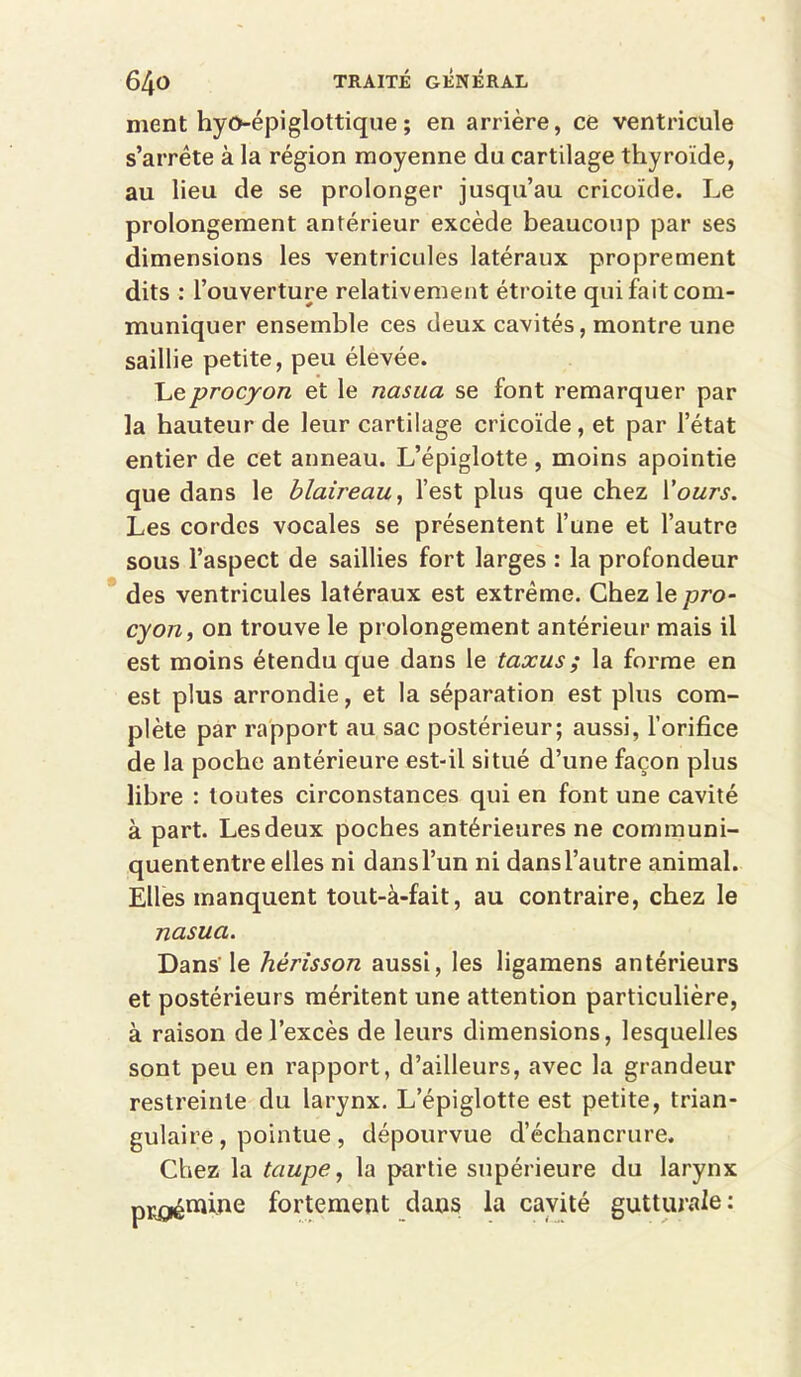 ment hyo-épiglottique; en arrière, ce ventricule s’arrête à la région moyenne du cartilage thyroïde, au lieu de se prolonger jusqu’au cricoïde. Le prolongement antérieur excède beaucoup par ses dimensions les ventricules latéraux proprement dits : l’ouverture relativement étroite qui fait com- muniquer ensemble ces deux cavités, montre une saillie petite, peu élevée. ~Leprocyon et le nasua se font remarquer par la hauteur de leur cartilage cricoïde , et par l’état entier de cet anneau. L’épiglotte, moins apointie que dans le blaireau^ l’est plus que chez X'ours. Les cordes vocales se présentent l’une et l’autre sous l’aspect de saillies fort larges : la profondeur des ventricules latéraux est extrême. Chezle/jro- cyon, on trouve le prolongement antérieur mais il est moins étendu que dans le taxus; la forme en est plus arrondie, et la séparation est plus com- plète par rapport au sac postérieur; aussi, l’orifice de la poche antérieure est-il situé d’une façon plus libre : toutes circonstances qui en font une cavité à part. Les deux poches antérieures ne communi- quent entre elles ni dans l’un ni dans l’autre animal. Elles manquent tout-à-fait, au contraire, chez le nasua. Dans' le hérisson aussi, les ligamens antérieurs et postérieurs méritent une attention particulière, à raison de l’excès de leurs dimensions, lesquelles sont peu en rapport, d’ailleurs, avec la grandeur restreinte du larynx. L’épiglotte est petite, trian- gulaire , pointue, dépourvue d’échancrure. Chez la taupe, la partie supérieure du larynx pj;^mi,ue fortement dans la cavité gutturale: