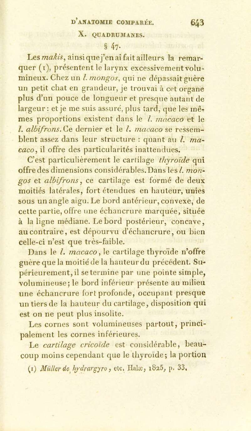 X. quadrumanes. § 47- Les makis, ainsi qiiej’en ai fait ailleurs la remar- quer (i), présentent le larynx excessivement volu- mineux. Chez un 1. mongos, qui ne dépassait guère un petit chat en grandeur, je trouvai à cet organe plus d’un pouce de longueur et presque autant de largeur: et je me suis assure', plus tard, que les mê- mes proportions existent dans le L macaco et le l. albifrons.^e dernier et le l. macaco se ressem- blent assez dans leur structure : quant au l. ma- caco, il offre des particularités inattendues. C’est particulièrement le cartilage thyroïde qui offre des dimensions considérables.Dans les/, mon- gos et albifrons, ce cartilage est formé de deux moitiés latérales, fort étendues en hauteur, unies sous un angle aigu. Le bord antérieur, convexe, de cette partie, offre une échancrure marquée, située à la ligne médiane. Le bord postérieur, concave, au contraire, est dépourvu d’échancrure, ou bien celle-ci n’est que très-faible. Dans le /. macaco, le cartilage thyroïde n’offre guère que la moitié de la hauteur du précédent. Su- périeurement, il se termine par une pointe simple, volumineuse; le bord inférieur présente au milieu une échancrure fort profonde, occupant presque un tiers de la hauteur du cartilage, disposition qui est on ne peut plus insolite. Les cornes sont volumineuses partout, princi- palement les cornes inférieures. Le cartilage cricoïde est considérable, beau- coup moins cependant que le thyroïde; la portion (i) MüUcrdcJij-drargyro, clc. Ilalic, i825, p. 33,