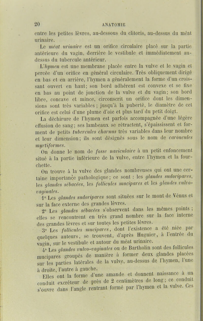 entre les petites lèvres, au-dessous du clitoris, au-dessus du méat urinaire. Le méat urinaire est un orifice circulaire placé sur la partie antérieure du vagin, derrière le vestibule et immédiatement au- dessus du tubercule antérieur. L'hymen est une membrane placée entre la vulve et le vagin et percée d’un orifice en général circulaire. Très obliquement dirigé en bas et en arrière, l’hymen a généralement la forme d’un crois- sant ouvert en haut; son bord adhérent est convexe et se fixe en bas au point de jonction de la vulve et du vagin; son bord libre, concave et mince, circonscrit un orifice dont les dimen- sions sont très variables ; jusqu’à la puberté, le diamètre de cet orifice est celui d’une plume d’oie et plus tard'du petit doigt. La déchirure de l’hymen est parfois accompagnée d’une légère effusion de sang; ses lambeaux se rétractent, s’épaississent et for- ment de petits tubercules charnus très variables dans leur nombre et leur dimension; ils sont désignés sous le nom de caroncules myrtiformes. On donne le nom de fosse naviculaire à un petit enfoncement situé à la partie inférieure de la vulve, entre l’hymen et la four- chette. On trouve à la vulve des glandes nombreuses qui ont une cer- taine importance pathologique ; ce sont : les glandes sudoripares, les glandes sébacées, les follicules mucipares et les glandes vulvo- vaginales. 1° Les glandes sudoripares sont situées sur le mont de Vénus et sur la face externe des grandes lèvres. 2° Les glandes sébacées s’observent dans les mômes points ; elles se rencontrent en très grand nombre sur la face interne des grandes lèvres et sur toutes les petites lèvies. 3° Les follicules mucipares, dont l'existence a été niée par quelques auteurs, se trouvent, d’après Huguier, à l’entrée du vamn, sur le vestibule et autour du méat urinaire. 4° Les glandes vulvo-vaginales ou de Bai tliolin sont des follicules mucipares groupés de manière à former deux glandes placées sur les parties latérales de la vulve, au-dessus de l’hymen, l’une à droite, l’autre à gauche. Elles ont la forme d’une amande et donnent naissance a un conduit excréteur de près de 2 centimètres de long ; ce conduit s’ouvre dans l’angle rentrant formé par l’hymen et la vulve. Ces