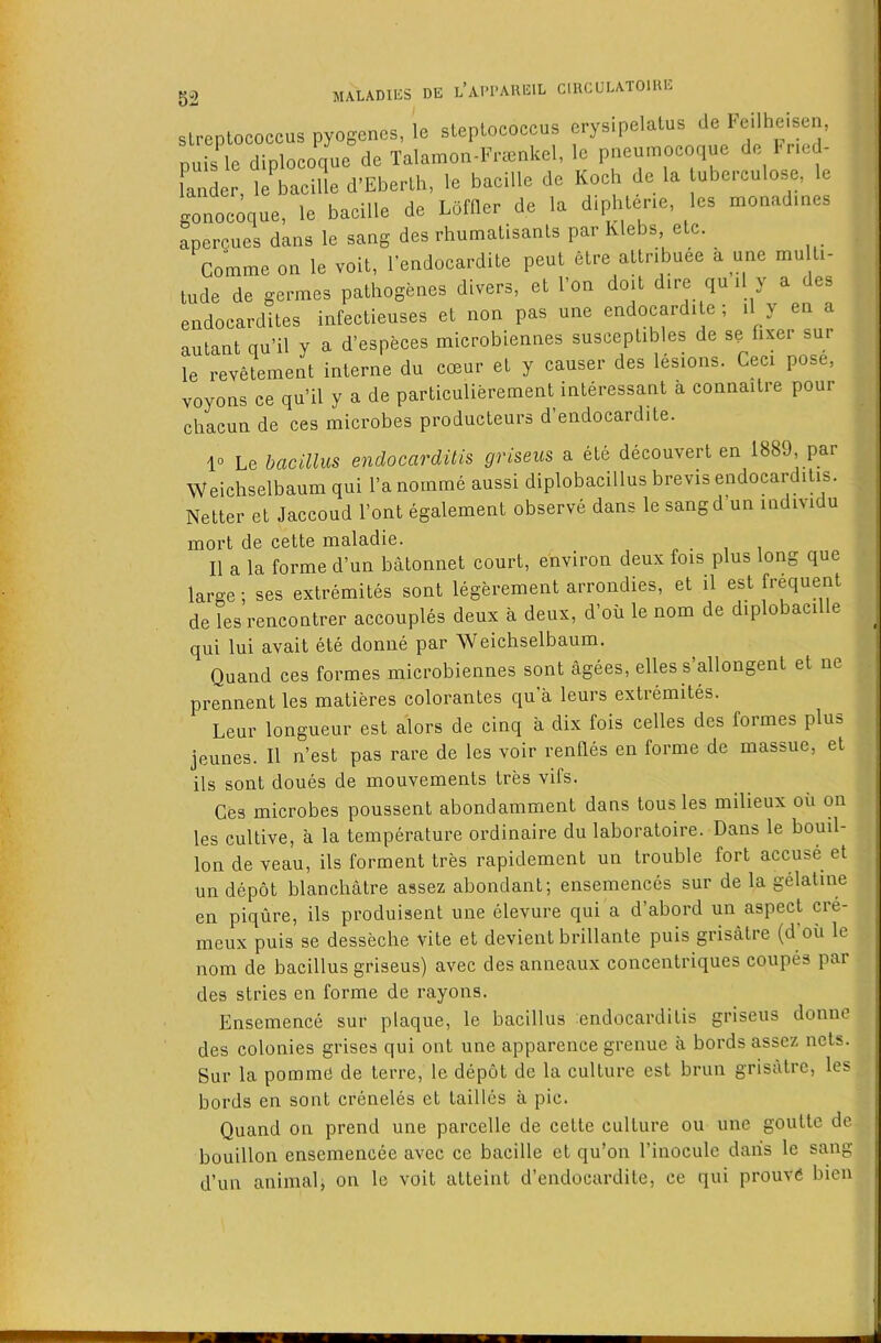 Streptococcus pyogenes, le steptococcus erysipelatus de Feilheisen, puis^le diplocoque de Talamon-Frtenkel, le pneumocoque knder le bacille d’Eberth, le bacdle de Koch de la tubeiculose, le gonocoque, le bacille de Lofder de la diphtene, les monad.nes apercues dans le sang des rhumatisants par Klebs etc. Comme on le voit, I’endocardite peut etre attnbuee a une multi- tude de germes pathogenes divers, et I’on doit dire qu il y a des endocardites infectieuses et non pas une endocardi e , il y en a autant au’il y a d’especes microbiennes susceptibles de se fixei sur le revetement interne du coeur et y causer des lesions. Ceci pose, voyons ce qu’il y a de particulierement interessant a connaitre pour chacun de ces microbes producteurs d’endocardite. 10 Le bacillus endocarditis griseus a ete decouvert en 1889 par Weichselbaum qui I’a nomme aussi diplobacillus brevis endocarditis. Netter et Jaccoud Font egalement observe dans le sangd’un individu mort de cette maladie. 11 a la forme d’un batonnet court, environ deux fois plus long que large; ses extremites sont legerement arrondies, et il est Sequent de les rencontrer accouples deux a deux, d’oii le nom de diplobaci e qui lui avail ete donne par Weichselbaum. Quand ces formes microbiennes sont agees, elles s’allongent et ne prennent les malieres colorantes qu a leurs extremites. Leur longueur est alors de cinq a dix fois cedes des formes plus jeunes. Il n’est pas rare de les voir renfles en forme de massue, el ils sont doues de mouvements tres vifs. Ces microbes poussent abondamment dans tousles milieux oii on les cultive, a la temperature ordinaire du laboratoire. Dans le bouil- lon de veau, ils forment tres rapidement un trouble fort accuse et un depot blanchatre assez abondant; ensemences sur de la gelatine en piqure, ils produisent une elevure qui a d’abord un aspect cre- meux puis se desseclie vile et devient brillante puis grisalre (d oii le nom de bacillus griseus) avec desanneaux concentriques coupes par des stries en forme de rayons. Ensemence sur plaque, le bacillus endocarditis griseus donne des colonies grises qui out une apparence grenue a bords assez nets. Sur la pomme de lerre, le depot de la culture est brun grisatre, les bords en sont creneles et tallies a pic. Quand on prend une parcelle de cette culture ou une goullc de * bouillon ensemencee avec ce bacille et qu’on I’inocule dans le sang ; d’un animalj on le voit alleint d’endocardite, ce qui prouvtf bien <