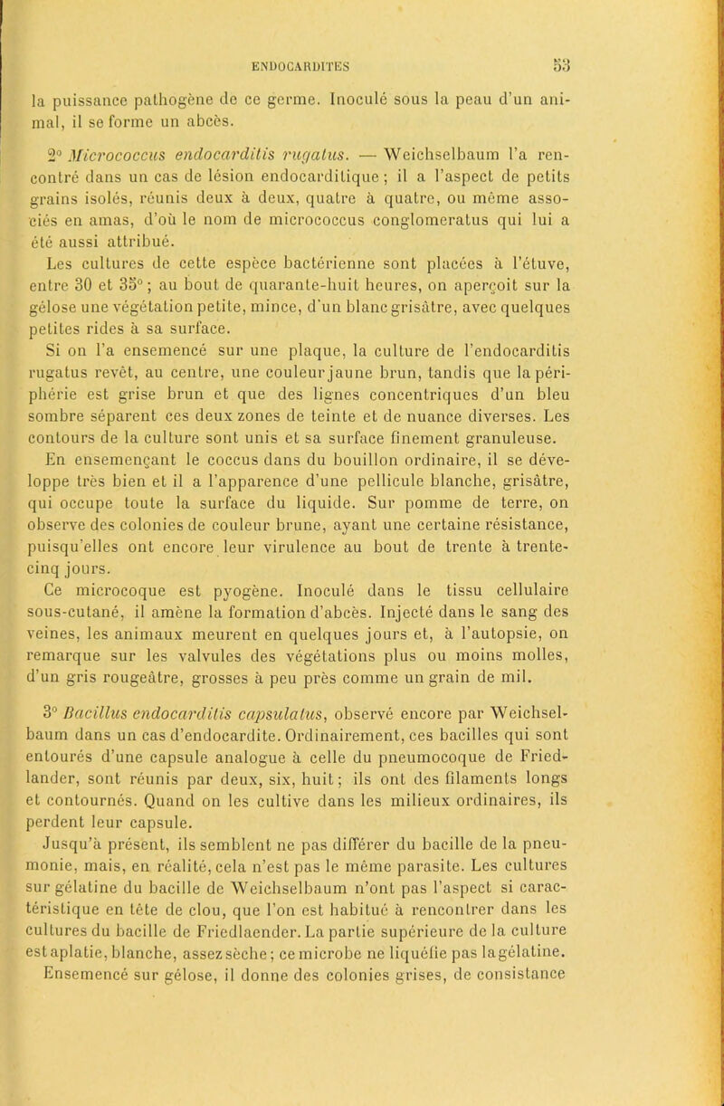 la puissance palliogene de ce germe. Inocule sous la peau d’un ani- mal, il se forme un abces. 2° Micrococcus endocarditis ruc/alus. — Weichselbaum I’a ren- contre dans un cas de lesion endocardilique; il a I’aspect de pelits grains isoles, reunis deux a deux, quatre a quatrc, ou meme asso- cies en amas, d’oii le nom de micrococcus conglomeratus qui lui a ete aussi attribue. Les cultures de cette espece bacterienne sont placees a I’etuve, entre 30 et 33°; au bout de quarante-huit hcures, on aper^oit sur la gelose une vegetation petite, mince, d'un blanc grisatre, avec quelques petites rides a sa surface. Si on I’a ensemence sur une plaque, la culture de I’endocarditis rugatus revet, au centre, une couleurjaune brun, tandis que laperi- pherie est grise brun et que des lignes concentriques d’un bleu sombre separent ces deux zones de teinte et de nuance diverses. Les contours de la culture sont unis et sa surface finement granuleuse. En ensemengant le coccus dans du bouillon ordinaire, il se deve- loppe tres bien et il a I’apparence d’une pellicule blanche, grisatre, qui occupe toute la surface du liquide. Sur pomme de terre, on observe des colonies de couleur brune, ayanl une certaine resistance, puisqu’elles ont encore leur virulence au bout de trente a trente- cinq jours. Ce microcoque est pyogene. Inocule dans le tissu cellulaire sous-cutane, il amene la formation d’abces. Injecte dans le sang des veines, les animaux meurent en quelques jours et, a I’autopsie, on remarque sur les valvules des vegetations plus ou moins molles, d’un gris rougeatre, grosses a peu pres comme un grain de mil. 3° Bacillus endocarditis capsulatus, observe encore par Weichsel- baum dans un cas d’endocardite. Ordinairement, ces bacilles qui sont entoures d’une capsule analogue a celle du pneumocoque de Fried- lander, sont reunis par deux, six, huit; ils ont des filaments longs et contournes. Quand on les cultive dans les milieux ox’dinaires, ils perdent leur capsule. Jusqu’a pi'esenl, ils semblent ne pas differer du bacille de la pneu- monie, mais, en realite,cela n’est pas le meme parasite. Les cultui’es sur gelatine du bacille de Weichselbaum n’ont pas I’aspect si cai’ac- teristique en tete de clou, que I’on est habitue a renconti’er dans les cultures du bacille de Fidedlaender. La partie superieure de la cultui’e est aplatie, blanche, assezseche; ce mici’obe ne liquelle pas lagelatine. Ensemence sur gelose, il donne des colonies grises, de consistance