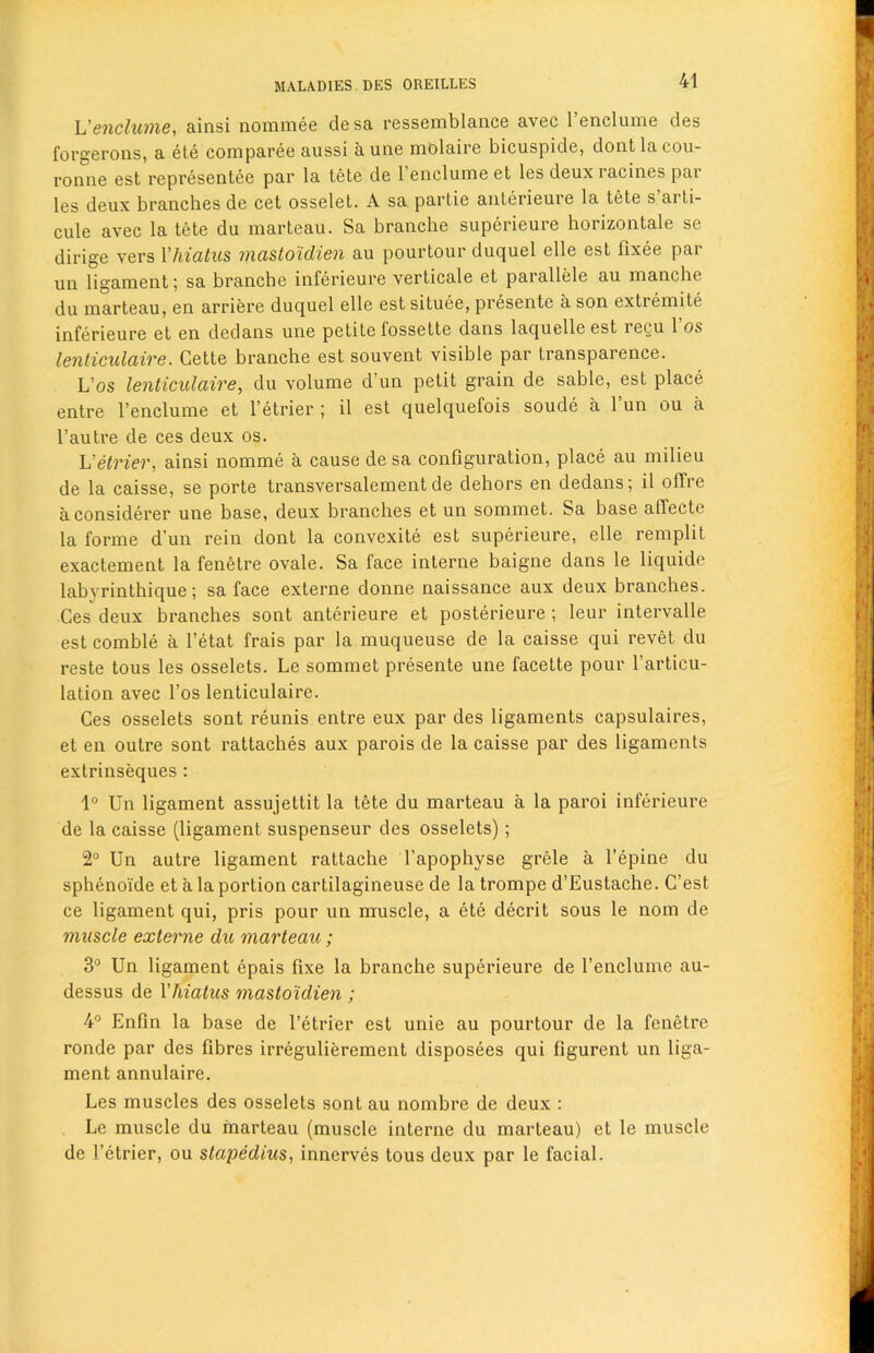 L'enclume, ainsi nominee desa ressemblance avec 1 enclume des forgerons, a ete comparee aussi a une molaire bicuspide, dont la cou- ronne est rcpresentee par la tete de 1 enclume et les deux racines pai les deux branches de cet osselet. A sa partie anterieure la tete s ai ti- cule avec la tete du marteau. Sa branche superieure horizontale se dirige vers Vhiatus mastoidien au pourtour duquel elle est fixee par un ligament 5 sa branche inferieure verticale et parallele au manche du marteau, en arriere duquel elle estsituee, presente a son extiemite inferieure et en dedans une petite fossette dans laquelle est regu 1 os lenticulaire. Cette branche est souvent visible par transparence. L’os lenticulaire, du volume d'un petit grain de sable, est place entre l’enclume et l’etrier ; il est quelquefois soude a l’un ou a l’autre de ces deux os. L'etrier, ainsi nomme a cause de sa configuration, place au milieu de la caisse, se porte transversalementde dehors en dedans; il offre aconsiderer une base, deux branches et un sommet. Sa base alfecte la forme d’un rein dont la convexite est superieure, elle remplit exactement la fenetre ovale. Sa face interne baigne dans le liquide labyrinthique; sa face externe donne naissance aux deux branches. Ces deux branches sont anterieure et posterieure ; leur intervalle est comble a l’etat frais par la muqueuse de la caisse qui revet du reste tous les osselets. Le sommet presente une facette pour l’articu- lation avec l’os lenticulaire. Ces osselets sont reunis entre eux par des ligaments capsulaires, et en outre sont rattaches aux parois de la caisse par des ligaments extrinseques : 1° Un ligament assujettit la tete du marteau a la paroi inferieure de la caisse (ligament suspenseur des osselets); 2° Un autre ligament rattache l’apophyse grele a l’epine du sphenoi'de et a la portion cartilagineuse de la trompe d’Eustache. C’est ce ligament qui, pris pour un muscle, a ete decrit sous le nom de muscle externe du marteau; 3° Un ligament epais fixe la branche superieure de l’enclume au- dessus de Vhiatus mastoidien ; 4° Enfin la base de l’etrier est unie au pourtour de la fenetre ronde par des fibres irregulierement disposees qui figurent un liga- ment annulaire. Les muscles des osselets sont au nombre de deux : Le muscle du marteau (muscle interne du marteau) et le muscle de l etricr, ou stapedius, innerves tous deux par le facial.