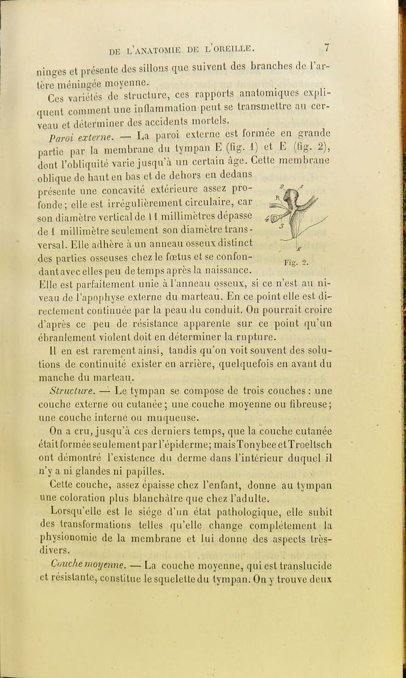 ranges et présente des sillons que suivent des branches de L'ar- tère piéningée moyenne. Ces variétés de structure, ces rapports anatomiques expli- quent comment une inflammation peut se transmettre au cer- veau et déterminer des accidents mortels. Paroi externe. — La paroi externe est formée en grande partie par la membrane du tympan E (fig. 1) et E (fig. 2), dont l'obliquité varie jusqu'à un certain âge. Cette membrane oblique de haut en bas et de dehors en dedans présente une concavité extérieure assez pro- fonde; elle est irrégulièrement circulaire, car son diamètre vertical de 11 millimètres dépasse dei millimètre seulement son diamètre trans- versal. Elle adhère à un anneau osseux distinct des parties osseuses chez le fœtus et se confon- dant avec elles peu de temps après la naissance. Elle est parfaitement unie à l'anneau osseux, si ce n'est au ni- veau de l'apophyse externe du marteau. En ce point elle est di- rectement continuée par la peau du conduit. On pourrait croire d'après ce peu de résistance apparente sur ce point qu'un ébranlement violent doit en déterminer la rupture. Il en est rarement ainsi, tandis qu'on voit souvent des solu- tions de continuité exister en arrière, quelquefois en avant du manche du marteau. Structure. — Le tympan se compose de trois couches : une couche externe ou cutanée; une couche moyenne ou fibreuse; une couche interné ou muqueuse. On a cru, jusqu'à ces derniers temps, que la couche cutanée était formée seulement par l'épiderme; maisTonybeeetTroellsch ont démontré l'existence du derme dans l'intérieur duquel il n'y a ni glandes ni papilles. Cette couche, assez épaisse chez l'enfant, donne au tympan une coloration plus blanchâtre que chez l'adulte. Lorsqu'elle est le siège d'un état pathologique, elle subit des transformations telles qu'elle change complètement la physionomie de la membrane et lui donne des aspects très- divers. Couche moyenne. — La couche moyenne, qui est translucide et résistante, constitue le squelette du tympan. On y trouve deux