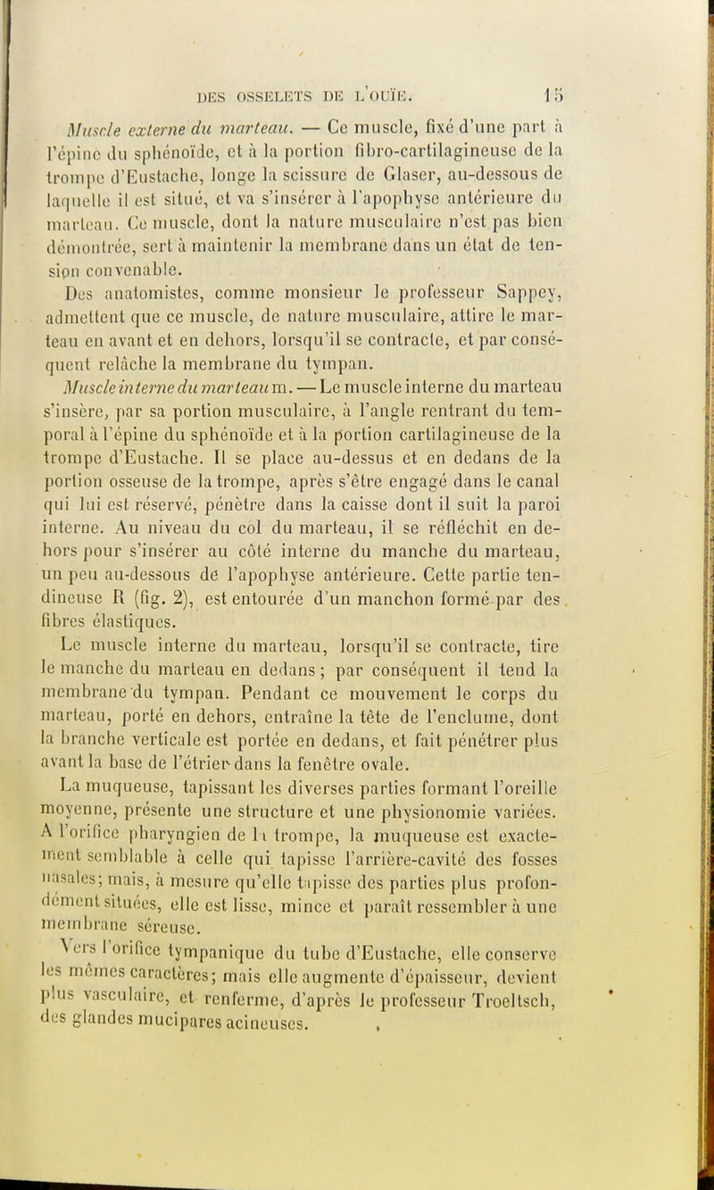 Muscle externe du marteau. — Ce muscle, fixé d'une part à Pépinè du sphénoïde, et à la portion fibro-cartilagineuse de la trompe d'Eustache, longe la scissure de Glaser, au-dessous de laquelle il est situé, et va s'insérer à l'apophyse antérieure du marteau. Ce muscle, dont la nature musculaire n'est pas bien démontrée, sert à maintenir la membrane dans un état de ten- sion convenable. Des anatomistes, comme monsieur le professeur Sappey, admettent que ce muscle, de nature musculaire, attire le mar- teau en avant et en dehors, lorsqu'il se contracte, et par consé- quent relâche la membrane du tympan. Muscleintemedu marteaum. — Le muscle interne du marteau s'insère, par sa portion musculaire, à l'angle rentrant du tem- poral à l'épine du sphénoïde et à la portion cartilagineuse de la trompe d'Eustache. Il se place au-dessus et en dedans de la portion osseuse de la trompe, après s'être engagé dans le canal qui lui est. réservé, pénètre dans la caisse dont il suit la paroi interne. Au niveau du col du marteau, il se réfléchit en de- hors pour s'insérer au côté interne du manche du marteau, un peu au-dessous de l'apophyse antérieure. Cette partie ten- dineuse R (fig. 2), est entourée d'un manchon formé par des fibres élastiques. Le muscle interne du marteau, lorsqu'il se contracte, tire le manche du marteau en dedans; par conséquent il tend la membrane du tympan. Pendant ce mouvement le corps du marteau, porté en dehors, entraîne la tête de l'enclume, dont la branche verticale est portée en dedans, et fait pénétrer plus avant la base de l'étrier-dans la fenêtre ovale. La muqueuse, tapissant les diverses parties formant l'oreille moyenne, présente une structure et une physionomie variées. A l'orifice pharyngien de h trompe, la muqueuse est exacte- ment semblable à celle qui tapisse l'arrière-cavité des fosses nasales; mais, à mesure qu'elle tipisse des parties plus profon- dement situées, elle est lisse, mince et paraît ressembler à une membrane séreuse. Vers l'orifice tympanique du tube d'Eustache, elle conserve les mêmes caractères; mais elle augmente d'épaisseur, devient plus vasculaire, et renferme, d'après le professeur Troeltsch, des glandes mucipares acineuscs.