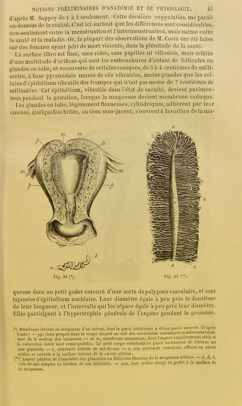 d'après M. Sappcy de 1 à 2 seulement. Cette dernière supputation me paraît au-dessous de la réalité. C'est ici surtout que les dilTérences sont considérables, non-seulement entre la menstruation et l'internienstruation, mais môme entre la santé et la maladie. Or, la plupart des observations de M. Coste ont été faites sur des femmes ayant péri de mort violente, dans la plénitude de la santé. La surface libre est lisse, sans rides, sans papilles ni villositcs, mais criblée d'une multitude d'orifices qui sont les embouchures d'autant de follicules ou glandes en tube, et recouverte de cellules coniques, de 3 à 4 centièmes de milli- mètre, à base pyramidale munie de cils vibratiles, moins grandes que les cel- lules d'épilhéliumvibratile des trompes qui n'ont pas moins de 7 centièmes de millimètre. Cet épithélium, vibratile dans l'état de vacuité, devient pavimen- teux pendant la gestation, lorsque la muqueuse devient membrane caduque. Les glandes en tube, légèrement flexueuses, cylindriques, adhèrent par leur cœcum, quelquefois bifide, au tissu sous-jacent, s'ouvrent à lasurface delamu- Fig. 39 (*). Fig. 40 (). queuse dans un petit godet entouré d'une sorte de polygone vasculaire, et sont tapisséesd'épithélium nucléaire. Leur diamètre égale à peu près le douzième de leur longueur, et l'intervalle qui les sépare égale à peu près leur diamètre. Elles participent à l'hypertrophie générale de l'organe pendant la grossesse. (•) Membrane interne ou muqueuse d'un utérus, dont la paroi antérieure a étéen partie enlevée. (D'après Coste.) — pp, tissu propre dans la coupe duquel on voit des ouvertures vasculuires nombreuses résul- tant de la section des vaisseaux. — m m, membrane muqueuse, dont l aspccl réRulierenicut strié et la coloration rosée sont remarquables. Le petit corps vermiculaire placé au-dessous de 1 utérus est une glandule. — t, cxlrémibî initiale en cul-dc-sac. — o, son extrémité terminale, oITrant un étroit orifice et ouverte à la surface interne de la cavité utérine. (••) Aspect général de l'ensemble des glandules ou follicules flcxueux de la miuiueuse utérine. — d, d, d, fuls-dc-sac simples ou bilobés de ces follicules. — aaa, leur orifice élargi en godet a la surface de la muqueuse.