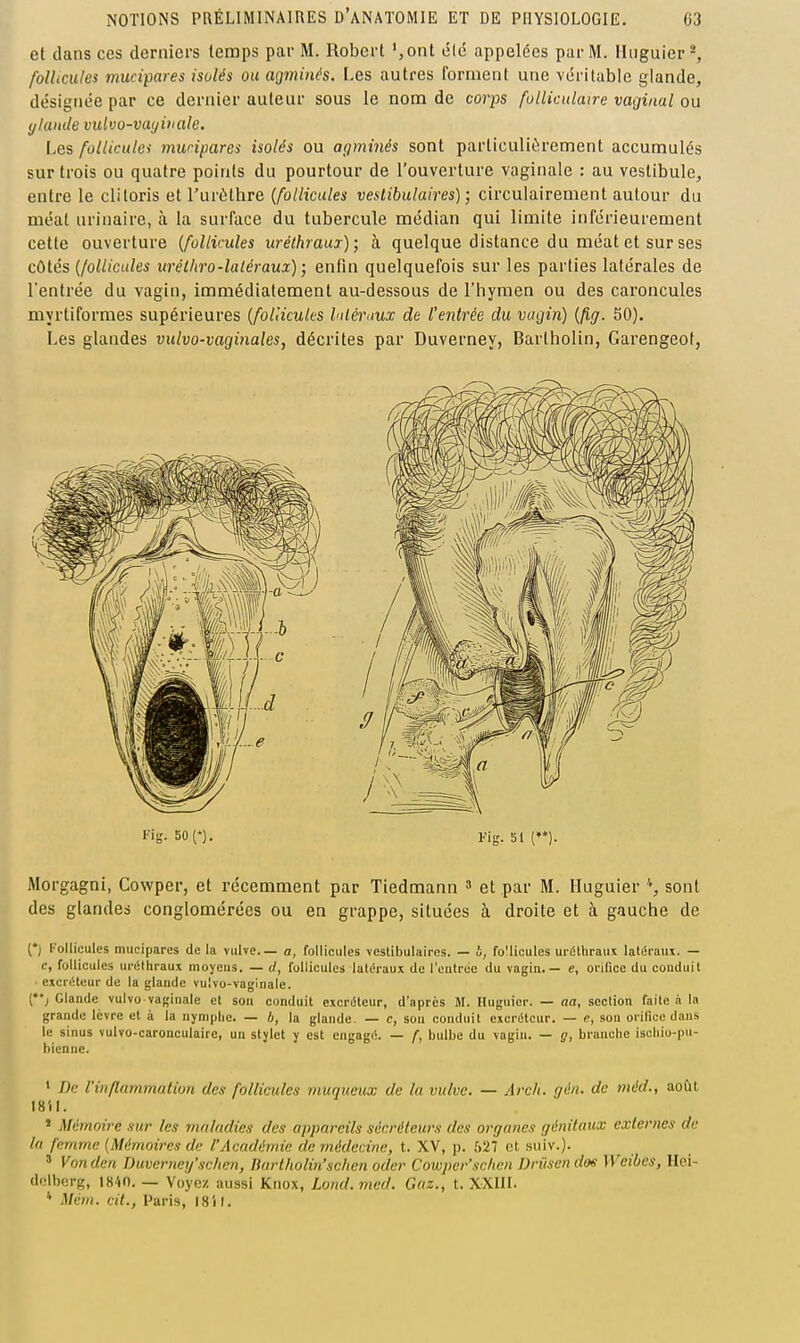 et dans ces derniers temps par M. Robert ',ont élc appelées par M. Hnguier ^ follicules mucipares isolés ou agminés. Les autres forment une véritable glande, désignée par ce dernier auteur sous le nom de corps folliculaire vaginal ou (jlande vulvo-vatjinale. Les folliculei mucipares isolés ou agminés sont particulièrement accumulés sur trois ou quatre points du pourtour de l'ouverture vaginale : au vestibule, entre le clitoris et l'urèthre {follicules vestibulaires) ; circulairement autour du méat urinaire, à la surface du tubercule médian qui limite inférieurement cette ouverture {follicules uréthraux); à quelque distance du méat et sur ses côtés {follicules urélhro-laléraux); enfin quelquefois sur les parties latérales de l'entrée du vagin, immédiatement au-dessous de l'hymen ou des caroncules myrtiformes supérieures {follicules liléraux de l'entrée du vagin) {(ig. 50). Les glandes vulvo-vaginales, décrites par Duverney, Bartholin, Garengeot, Morgagni, Cowper, et récemment par Tiedmann » et par M. Huguier sont des glandes conglomérées ou en grappe, situées à droite et à gauche de (*) Tollicules mucipares de la vulve. — a, follicules vestibulaires. — b, fo'licules uréthraui latiSraux. — c, follicules uréthraux moyens. — d, follicules latéraux de l'eatrée du vagin.— e, onlice du conduit • excriHeur de la glande vulvo-vaginale. (•'; Glande vulvo vaginale et son conduit excréteur, d'après M. Ilugnier. — aa, seclion faite à la grande lèvre et à la nymphe. — h, la glande. — c, son conduit excréteur. — e, son orifice dans le sinus vulvo-caronculaire, un stylet y est engagé. — f, bulbe du vagin. — g, brauclic iscliio-pu- biennc. ' De l'inflammation des follicules muqueux de lu vulve. — Arch. gén. de méd., août I8U. ' Mémoire sur les mnladies des appareils sécréteurs des organes génitaux externes de la femme [Mémoires de l'Académie de médecine, t. XV, p. 527 et siiiv.). ' Vonden Duverney'sehen, Bartholin'schen oder Cowper'sclien Driisendoe Weibes, Hei- dolbcrg, iH'iO. — Voyez aussi Knox, Lond.med. Gaz., t. XXIII. * Mém. cit., Paris, ISi I.