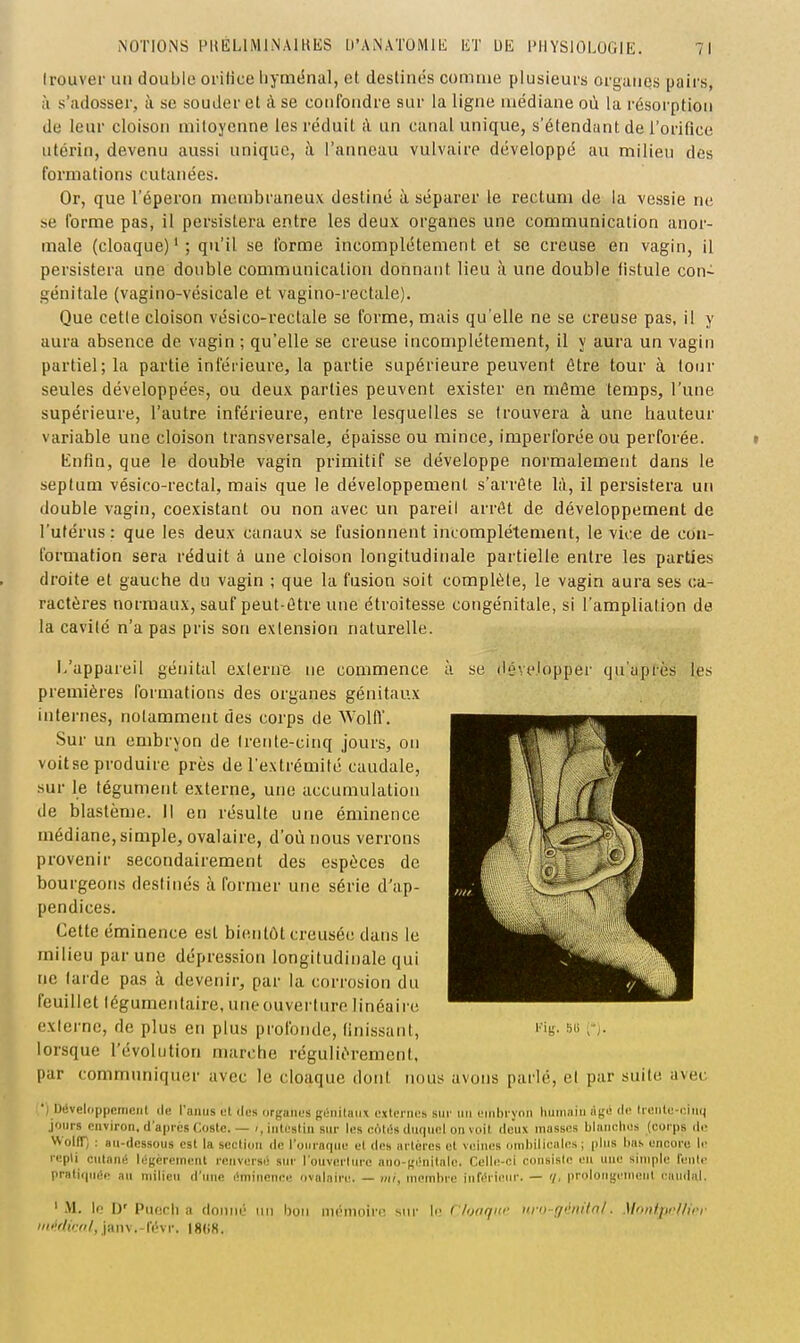 Irouver un double oritice liyménal, et destinés comme plusieurs organes pairs, ;i s'adosser, à se souder et à se confondre sur la ligne médiane où la résorption de leur cloison mitoyenne les réduit à un canal unique, s'étendunt de l'orifice utérin, devenu aussi unique, à l'anneau vulvaire développé au milieu des formations cutanées. Or, que l'éperon membraneux destiné à séparer le rectum de la vessie ne se forme pas, il persistera entre les deux organes une communication anor- male (cloaque)'; qu'il se forme incomplètement et se creuse en vagin, il persistera une double communication donnant lieu à une double fistule con~ génitale (vagino-vésicale et vagino-rectale). Que cette cloison vésico-rectale se forme, mais qu'elle ne se creuse pas, il y aura absence de vagin ; qu'elle se creuse incomplètement, il y aura un vagin partiel; la partie inférieure, la partie supérieure peuvent être tour à tour seules développées, ou deux parties peuvent exister en même temps, l'une supérieure, l'autre inférieure, entre lesquelles se trouvera à une hauteur variable une cloison transversale, épaisse ou mince, imperforée ou perforée. i Enfin, que le douHe vagin primitif se développe normalement dans le septum vésico-rectal, mais que le développement s'arrête M, il persistera un double vagin, coexistant ou non avec un pareil arrêt de développement de l'utérus : que les deux canaux se fusionnent incomplètement, le vice de con- formation sera réduit à une cloison longitudinale partielle entre les parties droite et gauche du vagin ; que la fusion soit complète, le vagin aura ses ca- ractères normaux, sauf peut-être une étroitesse congénitale, si l'ampliation de la cavité n'a pas pris son extension naturelle. L'appareil génital externe ne commence à se développer qu'après les premières formations des organes génitaux internes, notamment des corps de Wolft. Sur un embryon de Irente-cinq jours, on voitse produire près de l'extrémité caudale, sur le tégument externe, une accumulation de blastème. Il en résulte une éminence médiane, simple, ovalaire, d'où nous verrons provenir secondairement des espèces de bourgeons destinés à former une série d'ap- pendices. Cette éminence est bicintôt creusée dans le milieu par une dépression longitudinale qui ne larde pas à devenir, par la corrosion du feuillet légumentaire, une ouverture linéaii e externe, de plus en plus profonde, finissant, 'V s« i'J- lorsque l'évolution marche régulièrement, par communiquer avec le cloaque dont tious avons parlé, et par suite avec ( Développement de raiiiis et des organes génitaux externes sui- nn embryon tiuniaiii à(;é de (leiite-eiun jours environ, d'après Coste. — /, intestin snr les eotiSs duquel on voit deux masses blanches (corps de Wolff) : au-dessous est la section de l'ouraqiie et de» artères et veines ombilicales ; plus bas encore le repli cutané légèrement renversé sur l'ouverture ano-gi'nitali!. Celle-ci consiste eu une simple l'ente pratifpiée an milieu d'une lîminenei! nvalniri'. — mi, membre iuféri ■• — '/, proloiijfemeut i-audal. ' M. lo D' Pw.vh a rlomiij un bon iiUMiioiri; sur ii; Cluoqnf nro-giinitnl. Mnntprllii'r inMinnl., jaiiv.-l'iS r. 18(i8.