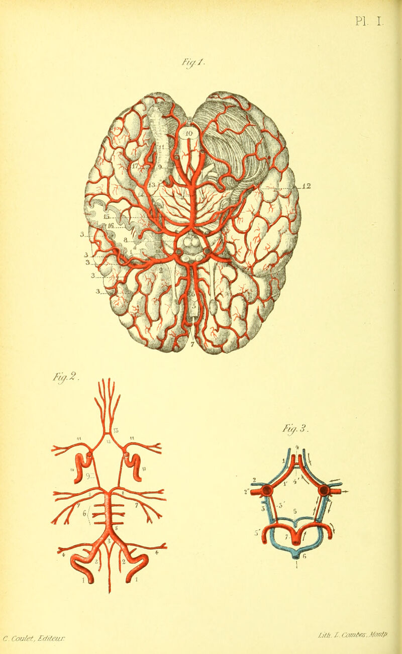 PI, I C. Coulet, Editeur Lith. /. Cûrnâeô-. Mi'i/p