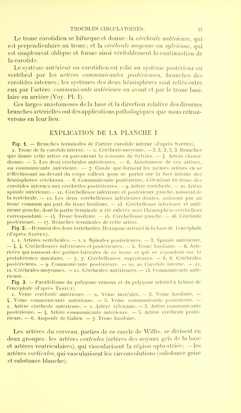 Le tronc carotidien se bifurque et donne : la cérébrale anlérieure, qui est perpendiculaire au tronc; et la cérébrale moyenne ou syU'ienne, qui est simplement oblique et forme ainsi véritablement la continuation de la carotide. Le système antérieur ou carotidien est relié au système postérieur ou vertébral par les artères communicantes postéi'ieuivs, branches des carotides internes ; les systèmes des deux hémisphères sont reliés entre eux par l'artère communicante antérieure en avant et par le tronc basi- laire en arrière (Voy. Pl. I). Ces larges anastomoses de la base et la direction relative des diverses branches artérielles ont des applications pathologiques que nous retrou- verons en leur lieu. EXPLICATION DE LA PLANCHE I. Fig. 1. — Branches terminales de rarlère carotide interne (daprès Sappey). 1. Tronc de la carotide interne. — 2. Cérébrale moyenne. —3, 3, 3, 3, 3. Branches que donne cette artère en parcourant la scissure de Sylvius. — 4- Artère choroï- dienne. — 5. Les deux cérébrales antérieures. — 6. Anastomose de ces artères, ou communicante antérieure. — 7. Coude que forment les mêmes artères en se réfléchissant au-devant du corps calleux pour se porter sur la face interne des hémisphères cérébraux. — 8. Communicante postérieure, s'étcndant du tronc des carotides internes aux cérébrales postérieures. — 9. Artère vertébrale. — 10. Artère spinale antérieure.— 11. Cérébelleuse inférieure et postérieure gauche, naissant de la vertébrale. — 12. Les deux cérébelleuses inférieures droites, naissant jiar un tronc commun qui part du tronc basilaire. — i3. Cérébelleuse inférieure et anté- rieure gauche, dont la partie terminale a été enlevée avec l'hémisphère cérébelleux correspondant. — 14. Tronc Ijnsilaire. — i5. Cérébelleuse gauche. — 16. Cérébrale postérieure. — 17. Branches terminales de cette artère. Fig. 2.— Réunion des deux vertébrales. Hexagone artériel delà Itascde Tencéphale (d'après Sappey). 1, 1. Artères vertélirales. —2, 2. Spinales postérieures. — 3. Spinale antérieure. — 4> 4- Cérébelleuses inférieures et postérieures. — 5. Tronc basilaire. — 6. Arté- rioîes qui naissent des parties latérales de ce tronc et qui se répandent sur la lirotubérancc annulaire. — 7, 7. Cérébelleuses supérieures. — 8, 8. Cérébrales postérieures. — 9. Communicante postérieure. — 10, 10. Carolide interne. — 11, 11. Cérébrales moyennes. — 12. Cérébrales antérieures.— i3. Communicante anté- riciu'e. Fig, 3. — Parallélisme du polygone veineux et du polygone artériel à la base de l'encéphale (d'après Testut). 1. Veine cérébrale antérieure. — 2. Veine insulaire. — 3. Veine basilaire, — 4. Veine communicante antérieure. — 5. Veine communicante postérieure. — 1. Artère cérébrale antérieure. — 2. Artère sylviennc. — 3. Artère communicante jiostéricure. — 4- Artère communicante antérieure. — 5. Artère cérébrale posté- rieure. — G. Ampoule de Galien — 7. Tronc basilaire. Les artères du cerveau, parties de ce cercle de Willis, se divisent en deux groupes : les artères centrales (arlères des noyaux gris de la base et artères ventriculaires), qui vascularisent la région opto-striée; —les artères co/'//ca/es, qui vascularisent les circonvolutions (substance grise et substance blanche).