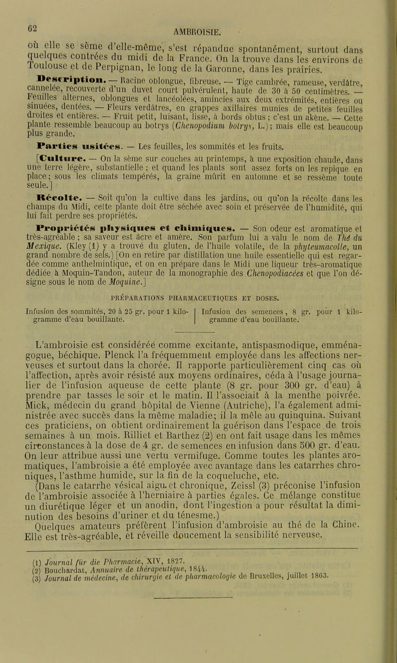 OÙ elle se sème cl elle-même, s'est répandue spontanément, surtout dans quelques contrées du midi de la France. On la trouve dans les environs de loulousc et de Perpignan, le long de la Garonne, dans les prairies. Desvriiitioii. — Racine oDlongue, fibreuse. — Tige cambrée, rameuse, verdâtrc, cannel(5e, rccouveile d'un duvet court pulvérulent, haute de 30 à 50 centimètres. — Feuilles alternes, obiongues et lancéolées, amincies aux deux extrémités, entières ou sinuées, dentées. — Fleurs verdûtres, en grappes axillaires munies de petites feuilles droites et entières. — Fruit petit, luisant, lisse, à bords obtus ; c'est un akène. — Cette plante ressemble beaucoup au botrys [Chenopodium bolrys, L.); mais elle est beaucoup plus grande. Parties usitées. — Les feuilles, les sommités et les fruits. [Culture. — On la sème sur couches au printemps, à une exposition chaude, dans une terre légère, substantielle ; et quand les plants sont assez forts on les repique en place; sous les climats tempérés, la graine mûrit en automne et se ressème toute seule.] Récolte. — Soit qu'on la cultive dans les jardins, ou qu'on la récolte dans les champs du Midi, celte plante doit être séchée avec soin et préservée de l'humidité, qui lui fait perdre ses propriétés. Propriétés pliysiques et cliîmiques. — Son odeur est aromatique et très-agréable ; sa saveur est acre et araère. Son parfum lui a valu le nom de Thé du Mexique. (Kley (1) y a trouvé du gluten, de l'huile volatile, de la phyteumacolle, un grand nombre de sels.) [On en retire par distillation une huile essentielle qui est regar- dée comme antlielmintique, et on en prépare dans le Midi une liqueur très-aromatique dédiée à Moquin-Tandon, auteur de la monographie des Chenopodiacées et que l'on dé- signe sous le nom de Moquine.] PRÉPARATIONS PHARMACEUTIQUES ET DOSES. Infusion des sommités, 20 à 25 gr. pour 1 kilo- 1 Infusion des semences, 8 gr. poiir 1 kilo- gramme d'eau bouillante. | gramme d'eau bouillante. L'ambroisie est considéréé comme excitante, antispasmodique, emména- gogue, béchique. Plenck l'a fréquemment employée dans les affections ner- veuses et surtout dans la chorée. Il rapporte particulièrement cinq cas oii l'affection, après avoir résisté aux moyens ordinaires, céda à l'usage journa- lier de l'infusion aqueuse de cette plante (8 gr. pour 300 gr. d'eau) à prendre par tasses le soir et le matin. Il l'associait à la menthe poivrée. Mick, médecin du grand hôpital de Vienne (Autriche), l'a également admi- nistrée avec succès dans la même maladie; il la mêle au quinquina. Suivant ces praticiens, on obtient ordinairement la guérison dans l'espace de trois semaines à un mois. Rilliet et Barthez (2) en ont fait usage dans les mômes circonstances à la dose de 4 gr. de semences en infusion dans 500 gr. d'eau. On leur attribue aussi une vertu vermifuge. Comme toutes les plantes aro- matiques, l'ambroisie a été employée avec avantage dans les catarrhes chro- niques, l'asthme humide, sur la fin de la coqueluche, etc. (Dans le catarrhe vésical aigu, et chronique, Zeissl (3) préconise l'infusion de l'ambroisie associée à l'herniaire à parties égales. Ce mélange constitue un diurétique léger et un anodin, dont l'ingestion a pour résultat la dimi- nution des besoins d'uriner et du ténesme.) Quelques amateurs préfèrent l'infusion d'ambroisie au thé de la Chine. Elle est très-agréable, et réveille doucement la sensibilité nerveuse. (1) Journal fur die Phnrmacie, XIV, 1827. (•2) Bouchurda-t, Annuaire de lliérapculique, ISlih. (3 Journal de médecine, de chinmjie et de pharmacologie de Bruxelles,