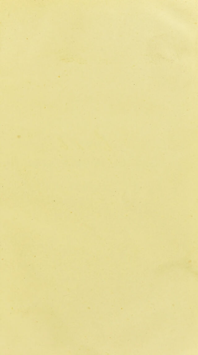 digitised image 3