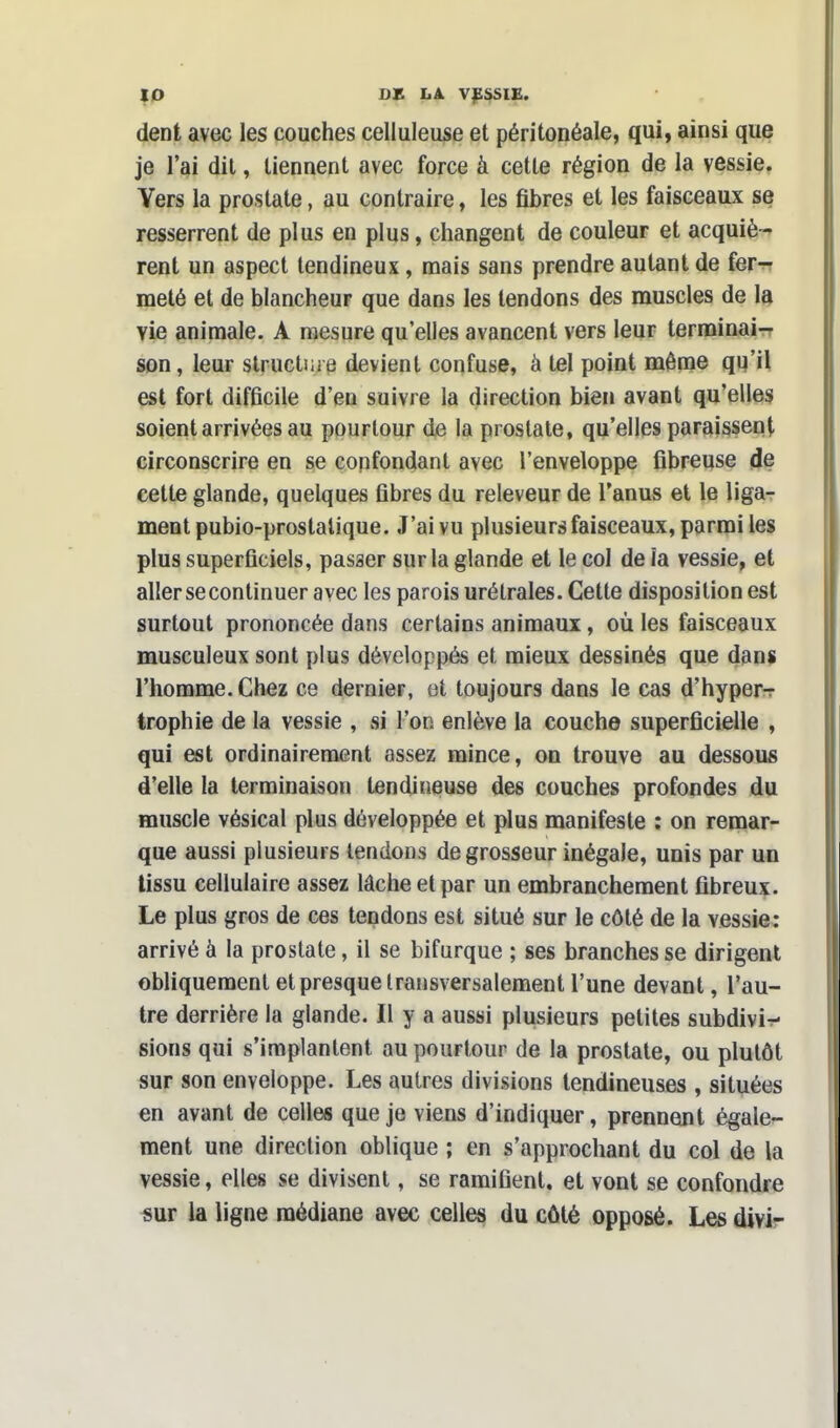 dent avec les couches celluleuse et péritonéale, qui, ainsi que je l'ai dit, tiennent avec force à cette région de la vessie. Vers la prostate, au contraire, les fibres et les faisceaux se resserrent de plus en plus, changent de couleur et acquiè- rent un aspect tendineux, mais sans prendre autant de fer- meté et de blancheur que dans les tendons des muscles de la Yie animale. A mesure qu'elles avancent vers leur terminai- son, leur structure devient confuse, à tel point même qu'il est fort difficile d'en suivre la direction bien avant qu'elles soient arrivées au pourtour de la prostate, qu'elles paraissent circonscrire en se confondant avec l'enveloppe fibreuse de cette glande, quelques fibres du releveur de l'anus et le liga- ment pubio-prostatique. J'ai vu plusieurs faisceaux, parmi les plus superficiels, passer sur la glande et le col de îa vessie, et aller se continuer avec les parois urétrales. Cette disposition est surtout prononcée dans certains animaux, où les faisceaux musculeux sont plus développés et mieux dessinés que dans l'homme. Chez ce dernier, et toujours dans le cas d'hyper- trophie de la vessie , si l'on enlève la couche superficielle , qui est ordinairement assez mince, on trouve au dessous d'elle la terminaison tendineuse des couches profondes du muscle vésical plus développée et plus manifeste : on remar- que aussi plusieurs tendons de grosseur inégale, unis par un tissu cellulaire assez lâche et par un embranchement fibreux. Le plus gros de ces tendons est situé sur le côté de la vessie: arrivé à la prostate, il se bifurque ; ses branches se dirigent obliquement et presque transversalement l'une devant, l'au- tre derrière la glande. Il y a aussi plusieurs petites subdivi- sions qui s'implantent au pourtour de la prostate, ou plutôt sur son enveloppe. Les autres divisions tendineuses , situées en avant de celles que je viens d'indiquer, prennent égale- ment une direction oblique ; en s'approchant du col de la vessie, elles se divisent, se ramifient, et vont se confondre sur la ligne médiane avec celles du côté opposé. Les divi-