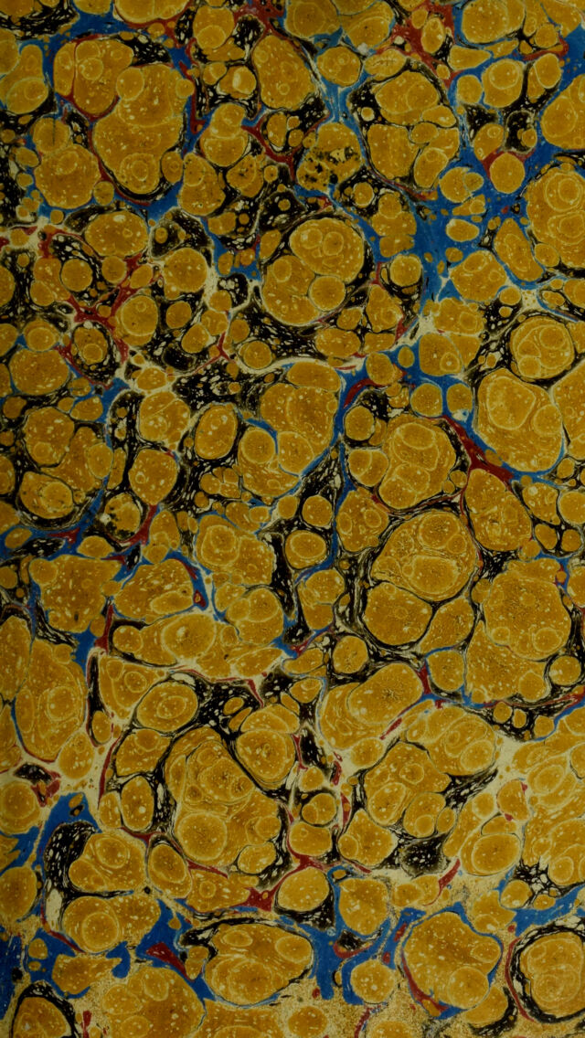 No text description is available for this image