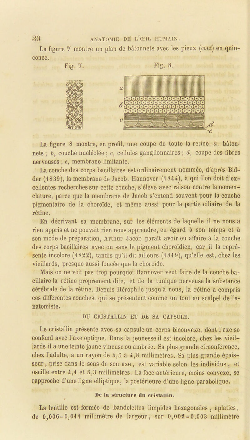 La figure 7 montre un plan de bâtonnets avec les pieux (cont) en quin- conce. Fig. 7. Fig. 8. a. iSSS^âlsoooSboooooooi La figure 8 montre, en profil, une coupe de toute la rétine, a, bâton- nets ; b, couche nucléolée ; c, cellules ganglionnaires ; d, coupe des fibres nerveuses ; e, membrane limitante. La couche des corps bacillaires est ordinairement nommée, d’après Bid- der (1839), la membrane de Jacob. Hannover (1 844), à qui l’on doit d’ex- cellentes recherches sur cette couche, s’élève avec raison contre la nomen- clature, parce que la membrane de Jacob s’entend souvent pour la couche pigmentaire de la choroïde, et même aussi pour la partie ciliaire de la rétine. En décrivant sa membrane, sur les éléments de laquelle il ne nous a rien appris et ne pouvait rien nous apprendre, eu égard à son temps et à son mode de préparation, Arthur Jacob paraît avoir ou affaire à la couche des corps bacillaires avec ou sans le pigment choroïdien, car il la repré- sente incolore (1822), tandis qu’il dit ailleurs (1819), qu’elle est, chez les vieillards, presque aussi foncée que la choroïde. Mais on ne voit pas trop pourquoi Hannover veut faire de la couche ba- cillaire la rétine proprement dite, et de la tunique nerveuse la substance cérébrale de la rétine. Depuis Hérophile jusqu’à nous, la rétine a compris ces différentes couches, qui se présentent comme un tout au scalpel de l’a- natomiste. Dü CRISTALLIN ET DE SA CAPSULE. Le cristallin présente avec sa capsule un corps biconvexe, dont l'axe se confond avec l’axe optique. Dans la jeunesse il est incolore, chez les vieil- lards il a une teinte jaune vineuse ou ambrée. Sa plus grande circonférence, chez l’adulte, a un rayon de 4,3 à 4,8 millimètres. Sa plus grande épais- seur, prise dans le sens de son axe , est variable selon les individus , et oscille entre 4,1 et 5,3 millimètres. La face antérieure, moins convexe, se rapproche d’une ligne elliptique, la postérieure d’une ligne parabolique. De la structure du cristallin. La lentille est formée de bandelettes limpides hexagonales, aplaties, de 0,006-0,011 millimètre de largeur, sur 0,002-0,003 millimètre