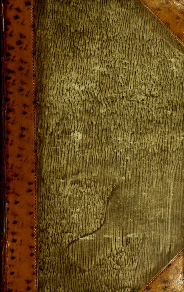 digitised image 1