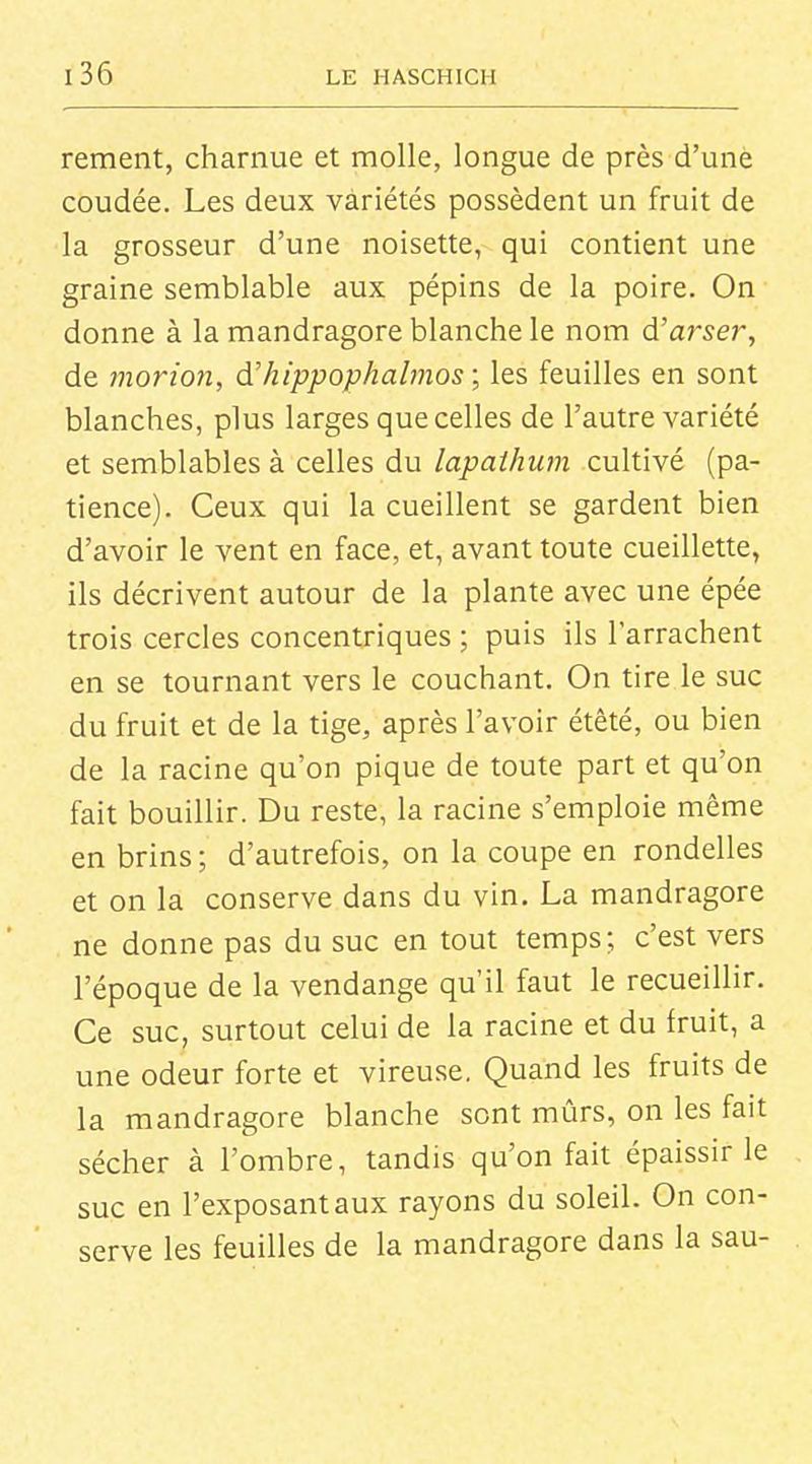 rement, charnue et molle, longue de près d'une coudée. Les deux variétés possèdent un fruit de la grosseur d'une noisette, qui contient une graine semblable aux pépins de la poire. On donne à la mandragore blanche le nom d'arser, de morion, à'hippophalmos ; les feuilles en sont blanches, plus larges que celles de l'autre variété et semblables à celles du lapathum cultivé (pa- tience). Ceux qui la cueillent se gardent bien d'avoir le vent en face, et, avant toute cueillette, ils décrivent autour de la plante avec une épée trois cercles concentriques ; puis ils l'arrachent en se tournant vers le couchant. On tire le suc du fruit et de la tige, après l'avoir étêté, ou bien de la racine qu'on pique de toute part et qu'on fait bouillir. Du reste, la racine s'emploie même en brins; d'autrefois, on la coupe en rondelles et on la conserve dans du vin. La mandragore ne donne pas du suc en tout temps; c'est vers l'époque de la vendange qu'il faut le recueillir. Ce suc, surtout celui de la racine et du fruit, a une odeur forte et vireuse. Quand les fruits de la mandragore blanche sont mûrs, on les fait sécher à l'ombre, tandis qu'on fait épaissir le suc en l'exposant aux rayons du soleil. On con- serve les feuilles de la mandragore dans la sau-