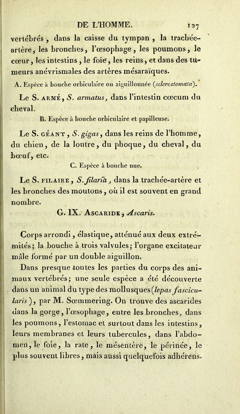 vertébrés , dans la caisse du tympan , la trachée- artère, les bronches, l’œsophage, les poumons, le cœur, les intestins , le foie, les reins, et dans des tu- meurs anévrismales des artères mésaraïques. A. Espèce à bouclie orbiculaire ou aiguillonnée (sclerostomaia). Le S. armé , S. armatus, dans l’intestin cæcum du cheval. B. Espèce à bouche orbiculaire et papilleuse. Le S. géant , S. gigas, dans les reins de l’homme, du chien, de la loutre, du phoque, du cheval, du bœuf, etc. C. Espèce à bouche nue. Le S. fil aire , S.jîlarià, dans la trachée-artère et les bronches des moutons, où il est souvent en grand nombre. G. IX. Ascaride , Ascaris. Corps arrondi, élastique, atténué aux deux extré- mités; la bouche à trois valvules; l’organe excitateur mâle formé par un double aiguillon. Dans presque toutes les parties du corps des ani- maux vertébrés; une seule espèce a été découverte dans un animal du type des mollusques(lepas fascicu- laris'), par M. Sœmmering. On trouve des ascarides dans la gorge, l’œsophage, entre les bronches, dans les poumons, l’estomac et surtout dans les intestins, leurs membranes et leurs tubercules, dans l’abdo- men, le foie, la rate, le mésentère, le périnée, le plus souvent libres, mais aussi quelquefois adhérens.