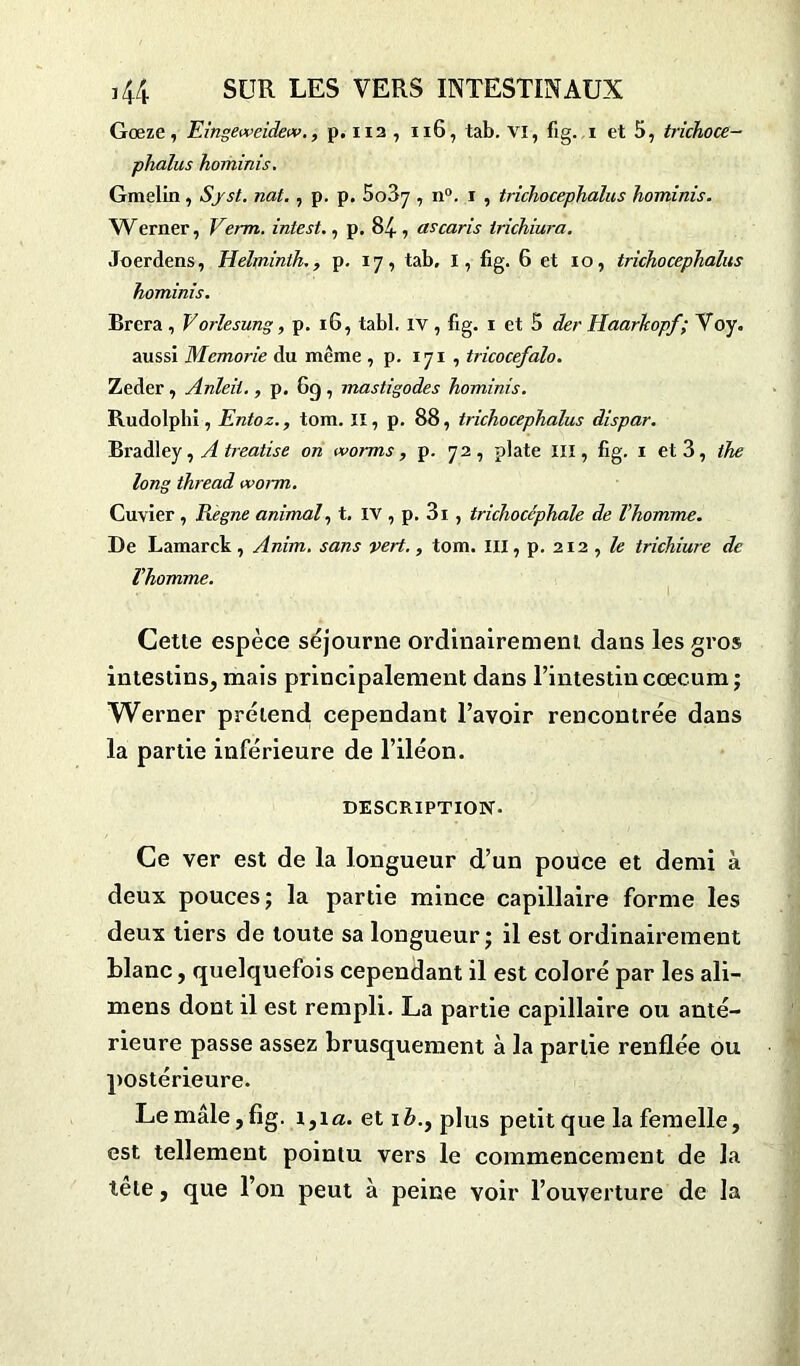 Gœze, Eingeweidew,, p. 112 , 116, tab. VI, fig. 1 et 5, trichoce- phaïus hominis. Gmelin, S/si. nat., p. p. 5o37 , n°. 1 , trichocephalus hominis. Werner, Verm. intest., p. 84 , ascaris trichiura. Joerdens, Helminth., p. 17, tab, I, fig. 6 et 10, trichocephalus hominis. Brera , V orlesung, p. 16, tabl. iv , fig. 1 et 5 der Haarkopf; Voy. aussi Memorie du même , p. 171 , tricocefalo. Zeder , Anleii., p. 6g , mastigodes hominis. Rudolphi, Entoz., tom. II, p. 88, trichocephalus dispar. Bradley, A treatise on worms, p. 72, plate III, fig. 1 et 3, the long thread worm. Cuvier , Régné animal, t. IV , p. 3i, trichocéphale de l’homme. De Lamarck, Anim. sans vert., tom. III, p. 212 , le trichiure de l’homme. Cette espèce séjourne ordinairement dans les gros intestins, mais principalement dans l’intestin cæcum ; Werner prétend cependant l’avoir rencontrée dans la partie inférieure de l’iléon. DESCRIPTION. Ce ver est de la longueur d’un pouce et demi à deux pouces; la partie mince capillaire forme les deux tiers de toute sa longueur; il est ordinairement blanc, quelquefois cependant il est coloré par les ali- mens dont il est rempli. La partie capillaire ou anté- rieure passe assez brusquement à la partie renflée ou postérieure. Le mâle,fig. i3ia. et ib.} plus petit que la femelle, est tellement pointu vers le commencement de la tête, que l’on peut à peine voir l’ouverture de la