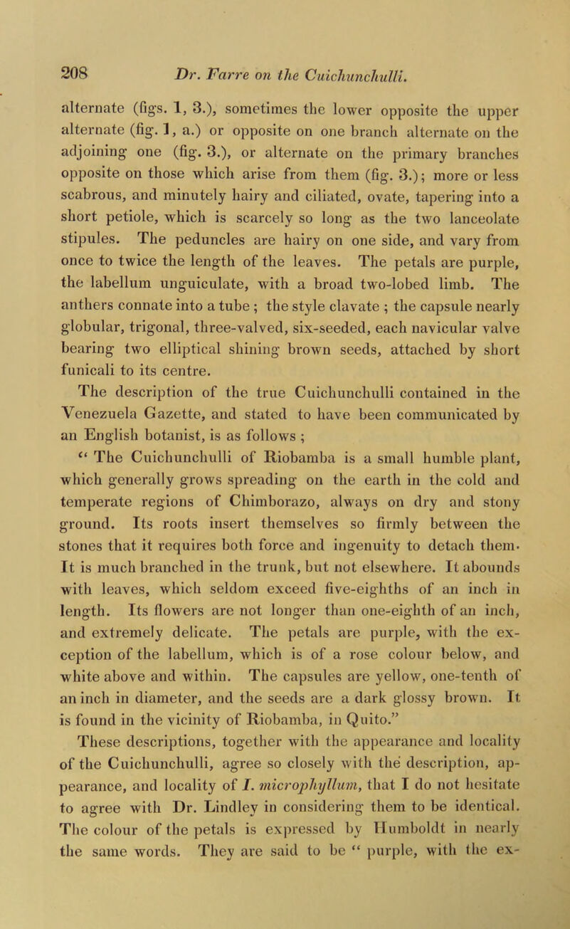 alternate (figs. 1, 3.), sometimes the lower opposite the upper alternate (fig. ], a.) or opposite on one branch alternate on the adjoining one (fig. 3.), or alternate on the primary branches opposite on those which arise from them (fig. 3.); more or less scabrous, and minutely hairy and ciliated, ovate, tapering into a short petiole, which is scarcely so long as the two lanceolate stipules. The peduncles are hairy on one side, and vary from once to twice the length of the leaves. The petals are purple, the labellum unguiculate, with a broad two-lobed limb. The anthers connate into a tube ; the style clavate ; the capsule nearly globular, trigonal, three-valved, six-seeded, each navicular valve bearing two elliptical shining brown seeds, attached by short funicali to its centre. The description of the true Cuichunchulli contained in the Venezuela Gazette, and stated to have been communicated by an English botanist, is as follows ; “ The Cuichunchulli of Riobamba is a small humble plant, which generally grows spreading on the earth in the cold and temperate regions of Chimborazo, always on dry and stony ground. Its roots insert themselves so firmly between the stones that it requires both force and ingenuity to detach them- It is much branched in the trunk, but not elsewhei’e. It abounds with leaves, which seldom exceed five-eighths of an inch in length. Its flowers are not longer than one-eighth of an inch, and extremely delicate. The petals are purple, with the ex- ception of the labellum, which is of a rose colour below, and white above and within. The capsules are yellow, one-tenth of an inch in diameter, and the seeds are a dark glossy brown. It is found in the vicinity of Riobamba, in Quito.” These descriptions, together with the appearance and locality of the Cuichunchulli, agree so closely with the description, ap- pearance, and locality of I. microphyllum, that I do not hesitate to agree with Dr. Lindley in considering them to be identical. The colour of the petals is expressed by Humboldt in nearly the same words. They are said to be “ purple, with the ex-