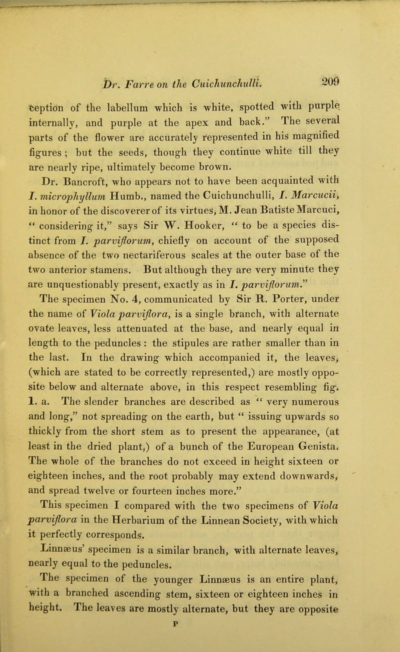 Ceptidn of the labellum which is white, spotted with purple internally, and purple at the apex and back.” The several parts of the flower are accurately represented in his magnified figures; but the seeds, though they continue white till they are nearly ripe, ultimately become brown. Dr. Bancroft, who appears not to have been acquainted with J. microphyllum Humb., named the Cuichunchulli, I. Marcuciii in honor of the discoverer of its virtues, M. Jean Batiste Marcuci, “ considering it,” says Sir W. Hooker, “ to be a species dis- tinct from I. parvijlorum, chiefly on account of the supposed absence of the two nectariferous scales at the outer base of the two anterior stamens. But although they are very minute they are unquestionably present, exactly as in I. parvijlorum.^' The specimen No. 4, communicated by Sir R. Porter, under the name of Viola parvijlora, is a single branch, with alternate ovate leaves, less attenuated at the base, and nearly equal in length to the peduncles : the stipules are rather smaller than in the last. In the drawing which accompanied it, the leaveSj (which are stated to be correctly represented,) are mostly oppo- site below and alternate above, in this respect resembling fig, 1. a. The slender branches are described as “ very numerous and long,” not spreading on the earth, but “ issuing upwards so thickly from the short stem as to present the appearance, (at least in the dried plant,) of a bunch of the European Genista, The whole of the branches do not exceed in height sixteen or eighteen inches, and the root probably may extend downwards# and spread twelve or fourteen inches more.” This specimen I compared with the two specimens of Viola parvijlora in the Herbarium of the Linnean Society, with which it perfectly corresponds. Linnaeus’ specimen is a similar branch, with alternate leaves, nearly equal to the peduncles. The specimen of the younger Linnaeus is an entire plant, with a branched ascending stem, sixteen or eighteen inches in height. The leaves are mostly alternate, but they are opposite p