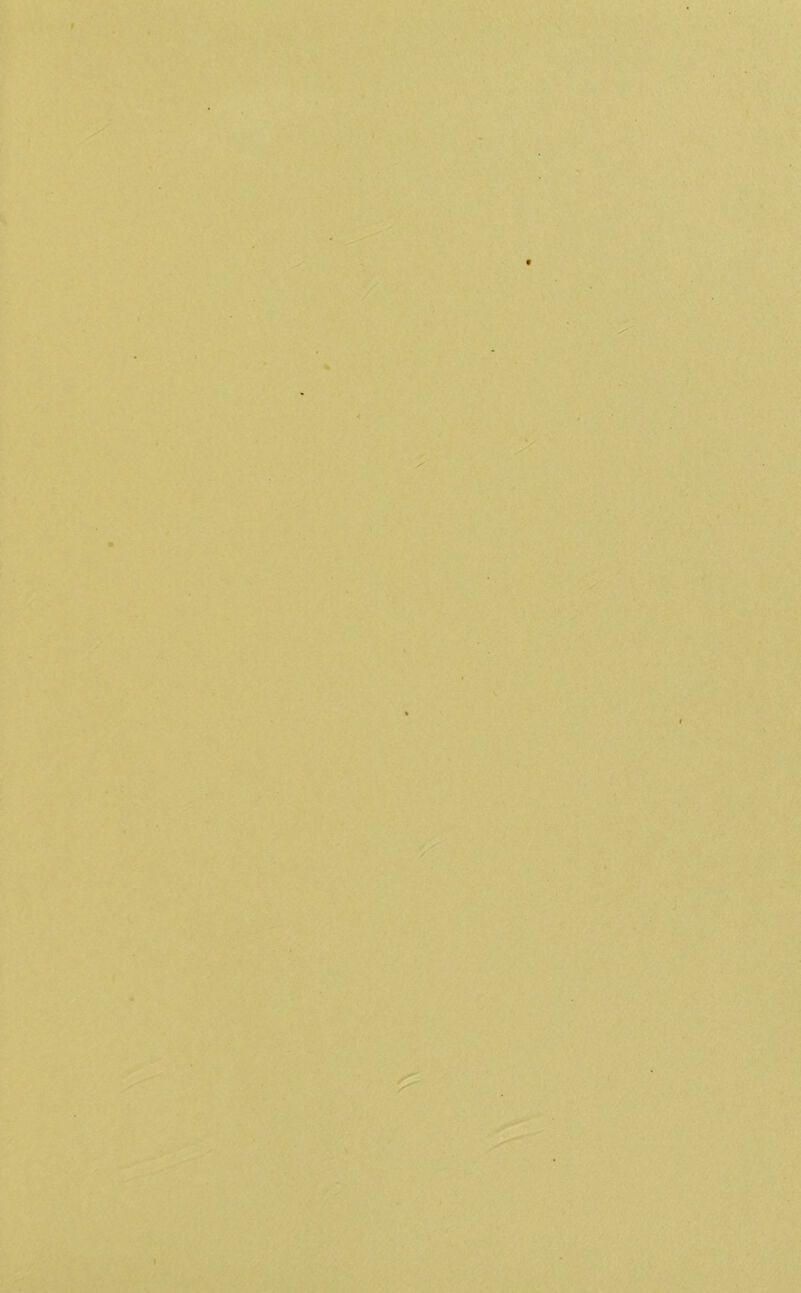9 t