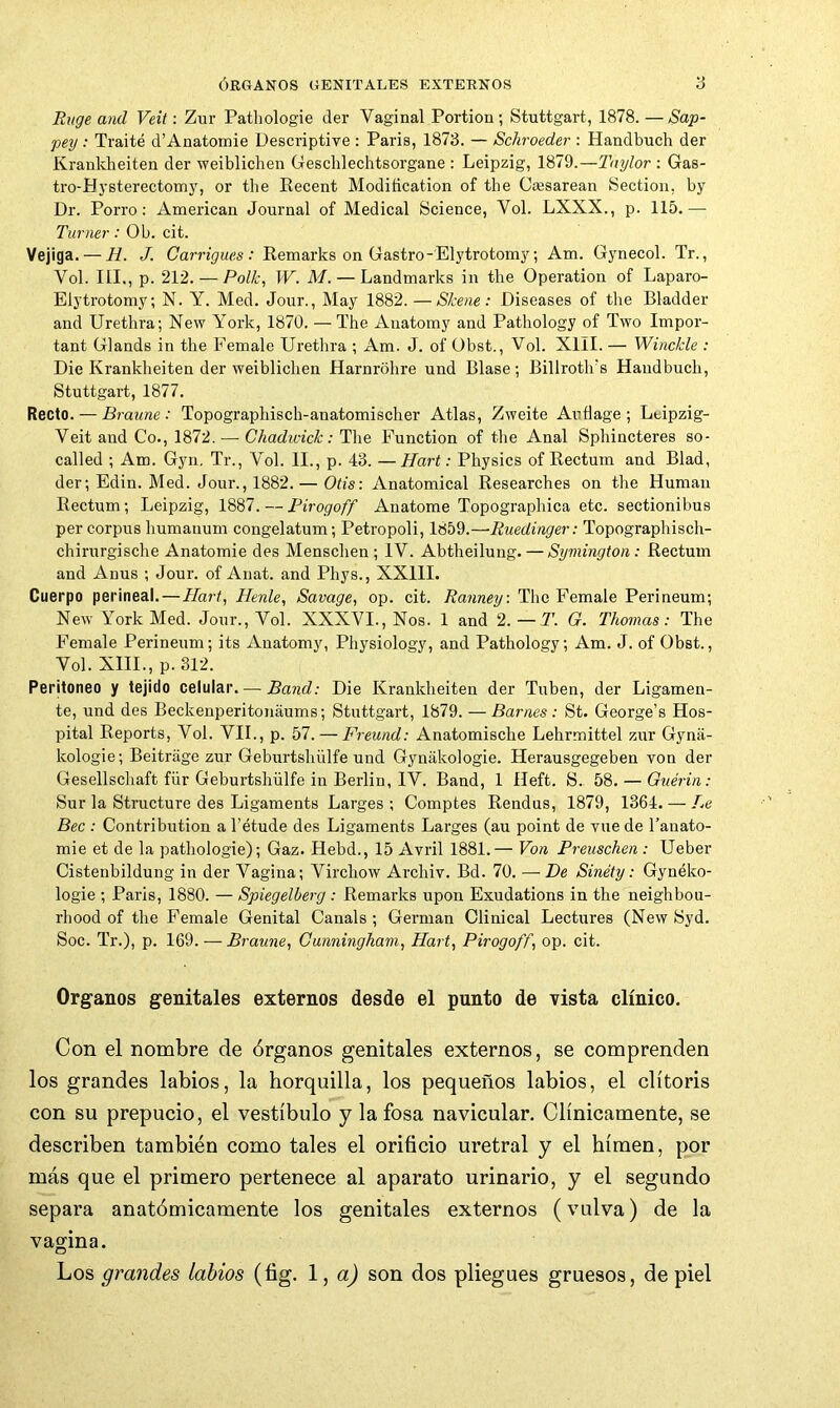 Rvge and Veil: Znr Pathologie der Vaginal Portion; Stuttgart, 1878. — Sap- peg : Traite d’Anatomie Descriptive : Paris, 1873. — Schroeder : Handbuch der Krankheiten der weiblichen Geschlechtsorgane : Leipzig, 1879.—: Gas- tro-Hysterectomy, or the Eecent Modification of the Ciesarean Section, by Dr. Porro: American Journal of Medical Science, Vol. LXXX., p. 115.— Turner: Ob. cit. Vejiga. — H. J. Carrigues : Eemarks on Gastro-Elytrotomy; Am. Gynecol. Tr., Vol. III., p. 212. — Polk, W. M. — Landmarks in the Operation of Laparo- Elytrotomy; X. Y. Med. Jour., May 1882. — Skene: Diseases of the Bladder and Urethra; New York, 1870. — The Anatomy and Pathology of Two Impor- tant Glands in the Female Urethra ; Am. J. of Obst., Vol. XIII. — Winckle : Die Krankheiten der weiblichen Harnrohre und Blase; Billroth's Handbuch, Stuttgart, 1877. Recto. — Braune : Topographisch-anatomischer Atlas, Zweite Anfiage ; Ltipzig- Veit aud Co., 1872. — Chadwick: The Function of the Anal Sphincteres so- called ; Am. Gyn, Tr., Vol. II., p. 43. —Hart: Physics of Eectum and Blad, der; Edin. Med. Jour., 1882. — Otis: Anatomical Eesearches on the Human Eectum; Leipzig, 1887. — Pirogoff Anatome Topographica etc. sectionibus per corpus humaiium congelatum; Petropoli, 1859.—liuedinger: Topographisch- chirurgische Anatomic des Menschen ; IV. Abtheilung. — Symington: Eectum and Anus ; Jour, of Anat. and Phys., XXIII. Cuerpo perineal.—Hart, Henle, Savage, op. cit. Ranney: The Female Perineum; New York Med. Jour., Vol. XXXVI., Nos. 1 and 2. —T. O. Thomas: The Female Perineum; its Anatomy, Physiology, and Pathology; Am. J. of Obst., Vol. XIII., p. 312. Peritoneo y tejido celular. — Band: Die Krankheiten der Tuben, der Ligamen- te, und des Beckenperitonaums; Stuttgart, 1879. — Barnes : St. George’s Hos- pital Eeports, Vol. VIL, p. 57. — Freund: Anatomische Lehrmittel zur Gyna- kologie; Beitrage ziir Geburtshülfe und Gynakologie. Herausgegeben von der Gesellschaft fiir Geburtshiilfe in Berlin, IV. Band, 1 Heft. S. 58. — Qxiérin: Sur la Structure des Ligaments Larges ; Comptes Eendus, 1879, 1364. — Le Bee : Contribution a I’etude des Ligaments Larges (au point de vue de I’anato- mie et de la pathologie); Gaz. Hebd., 15 Avril 1881.— Von Preuschen : Ueber Cistenbildung in der Vagina; Virchow Archiv. Bd. 70. — De Sinéty: Gynéko- logie ; Paris, 1880. — Spiegelberg : Eemarks upon Exudations in the neighbou- rhood of the Female Genital Canals; German Clinical Lectures (New Syd. Soc. Tr.), p. 169. — Braune, Cunningham, Hart, Pirogoff, op. cit. Organos genitales externos desde el punto de vista clínico. Con el nombre de órganos genitales externos, se comprenden los grandes labios, la horquilla, los pequeños labios, el clitoris con su prepucio, el vestíbulo y la fosa navicular. Clínicamente, se describen también como tales el orificio uretral y el hímen, por más que el primero pertenece al aparato urinario, y el segundo separa anatómicamente los genitales externos (vulva) de la vagina. Los grandes labios (fig. \ , a) son dos pliegues gruesos, de piel