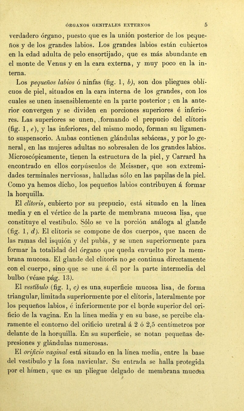 verdadero órgano, puesto que es la unión posterior de los peque- ños y de los grandes labios. Los grandes labios están cubiertos en la edad adulta de pelo ensortijado, que es más abundante en el monte de Venus y en la cara externa, y muy poco en la in- terna. Los pequeños labios ó ninfas (fig. 1, b), son dos pliegues obli- cuos de piel, situados en la cara interna de los grandes, con los cuales se unen insensiblemente en la parte posterior ; en la ante- rior convergen y se dividen en porciones superiores é inferio- res. Las superiores se unen, .formando el prepucio del clitoris (fig- 1, e), y las inferiores, del mismo modo, forman su ligamen- to suspensorio. Ambas contienen glándulas sebáceas, y por lo ge- neral, en las mujeres adultas no sobresalen de los grandes labios. Microscópicamente, tienen la estructura de la piel, y Carrard ha encontrado en ellos corpúsculos de Meissner, que son extremi- dades terminales nerviosas, halladas sólo en las papilas de la piel. Como ya hemos dicho, los pequeños labios contribuyen á formar la horquilla. El clitoris, cubierto por su prepucio, está situado en la linea media y en el vértice de la parte de membrana mucosa lisa, que constituye el vestíbulo. Sólo se ve la porción análoga al glande (fig. 1, d). El clitoris se compone de dos cuerpos, que nacen de las ramas del isquión y del pubis, y se unen superiormente para formar la totalidad del órgano que queda envuelto por la mem- brana mucosa. El glande del clitoris no ^e continua directamente con el cuerpo, sino que se une á él por la parte intermedia del bulbo (véase pág. 13). El vestíbulo (fig. 1, c) es una.superficie mucosa lisa, de forma triangular, limitada superiormente por el clitoris, lateralmente por los pequeños labios, é inferiormente por el borde superior del ori- ficio de la vagina. En la línea media y en su base, se percibe cla- ramente el contorno del orificio uretral á 2 ó 2,5 centímetros por delante de la horquilla. En su superficie, se notan pequeñas de- presiones y glándulas numerosas. El orificio vaginal está situado en la línea media, entre la base del vestíbulo y la fosa navicular. Su entrada se halla protegida por el hímen, que es un pliegue delgado de membrana mucdSa