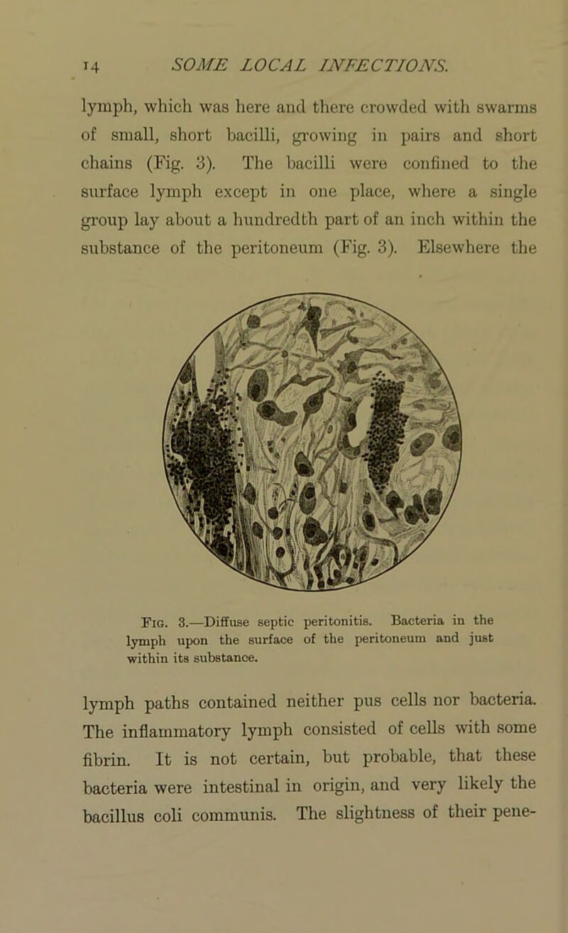 lymph, which was here and there crowded with swarms of small, short bacilli, growing in pairs and short chains (Fig. 3). The bacilli were confined to the surface lymph except in one place, where a single group lay about a hundredth part of an inch within the substance of the peritoneum (Fig. 3). Elsewhere the Fig. 3.—Diffuse septic peritonitis. Bacteria in the lymph upon the surface of the peritoneum and just within its substance. lymph paths contained neither pus cells nor bacteria. The inflammatory lymph consisted of cells with some fibrin. It is not certain, but probable, that these bacteria were intestinal in origin, and very likely the bacillus coli communis. The slightness of their pene-