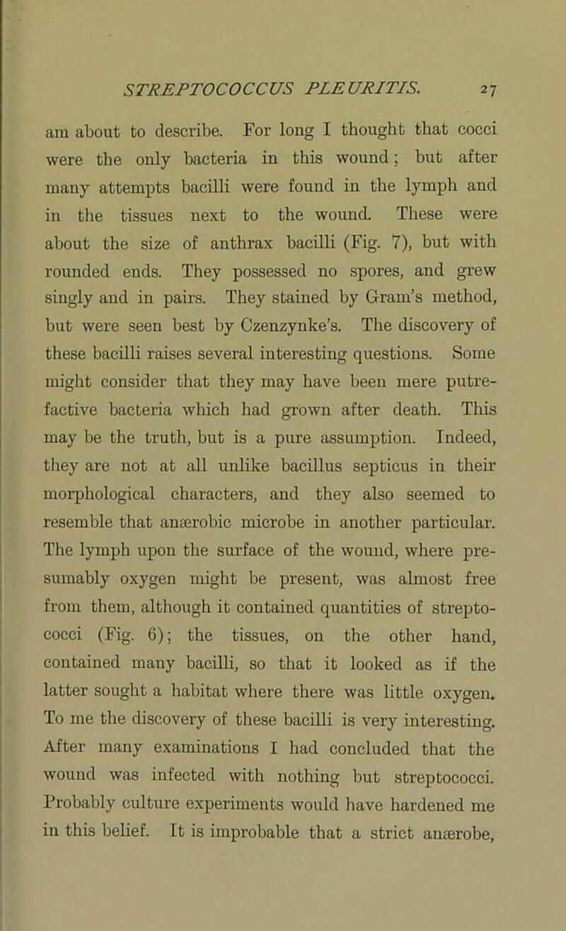 am about to describe. For long I thought that cocci were the only bacteria in this wound; but after many attempts bacilli were found in the lymph and in the tissues next to the wound. These were about the size of anthrax bacilli (Fig. 7), but with rounded ends. They possessed no spores, and grew singly and in pairs. They stained by Gram’s method, but were seen best by Czenzynke’s. The discovery of these bacilli raises several interesting questions. Some might consider that they may have been mere putre- factive bacteria which had grown after death. This may be the truth, but is a pure assumption. Indeed, they are not at all unlike bacillus septicus in their morphological characters, and they also seemed to resemble that anaerobic microbe in another particular. The lymph upon the surface of the wound, where pre- sumably oxygen might be present, was almost free from them, although it contained quantities of strepto- cocci (Fig. 6); the tissues, on the other hand, contained many bacilli, so that it looked as if the latter sought a habitat where there was little oxygen. To me the discovery of these bacilli is very interesting. After many examinations I had concluded that the wound was infected with nothing but streptococci. Probably culture experiments would have hardened me in this belief. It is improbable that a strict amerobe,