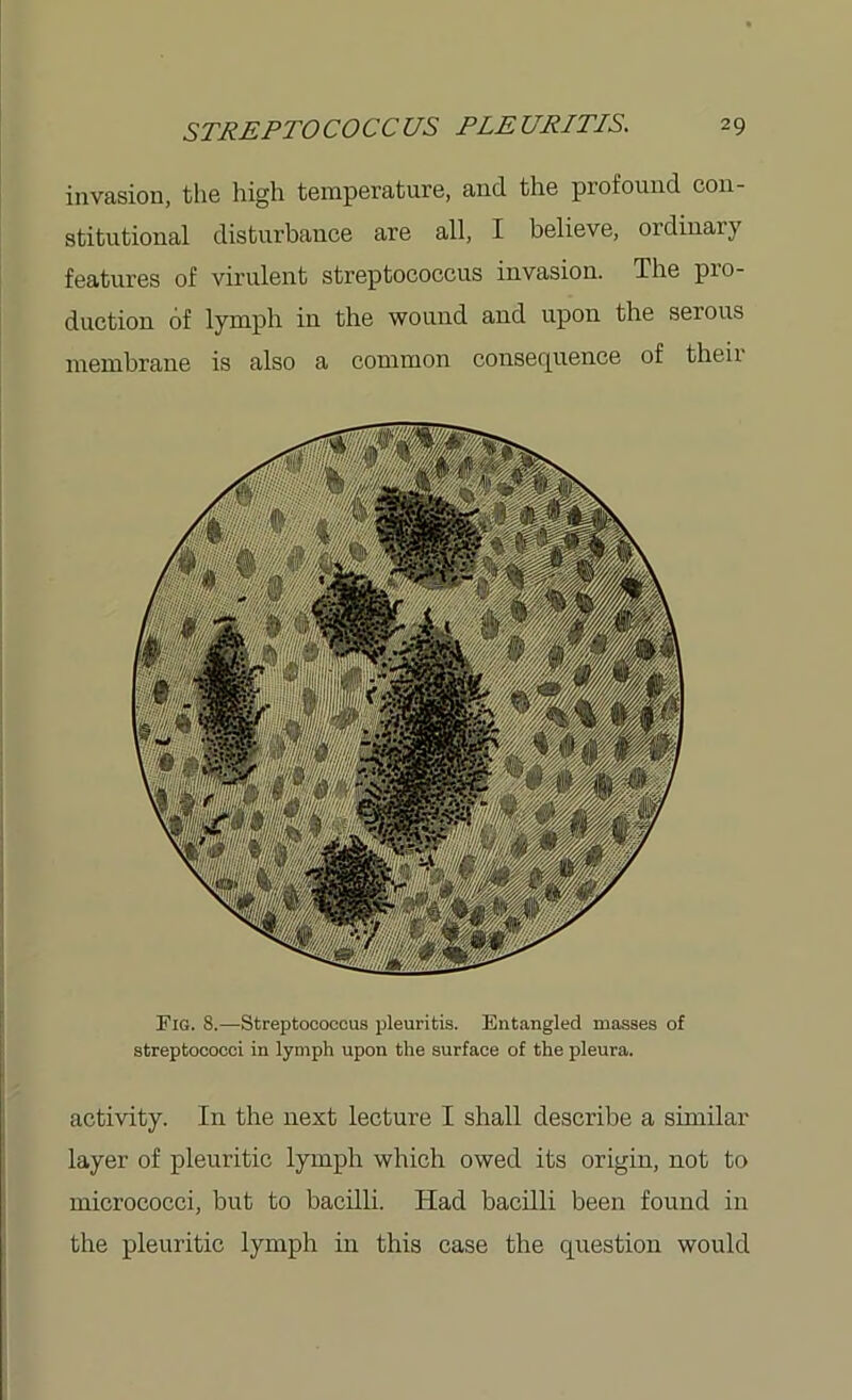 invasion, the high temperature, and the profound con- stitutional disturbance are all, I believe, ordinary features of virulent streptococcus invasion. The pio- duction of lymph in the wound and upon the serous membrane is also a common consequence of then Fig. 8.—Streptococcus pleuritis. Entangled masses of streptococci in lymph upon the surface of the pleura. activity. In the next lecture I shall describe a similar layer of pleuritic lymph which owed its origin, not to micrococci, but to bacilli. Had bacilli been found in the pleuritic lymph in this case the question would