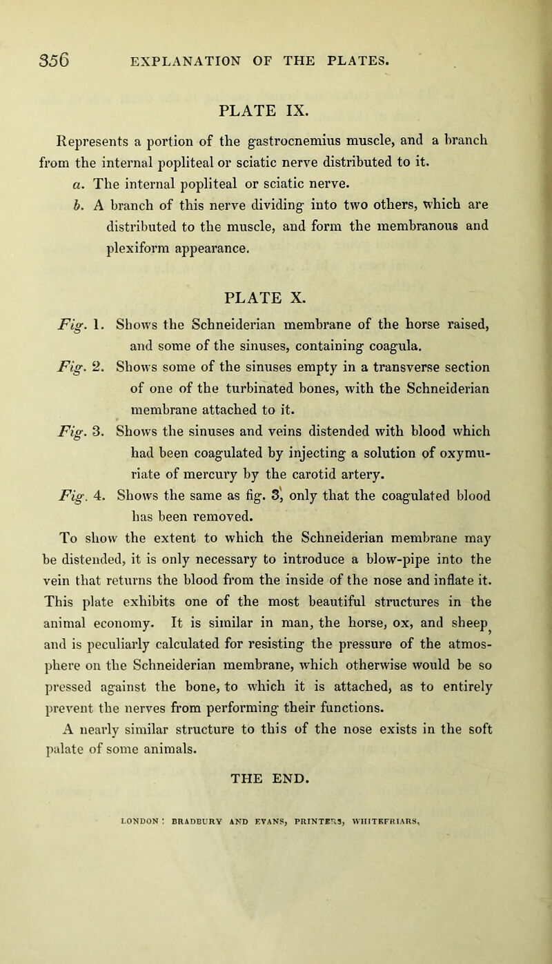 PLATE IX. Represents a portion of the gastrocnemius muscle, and a branch from the internal popliteal or sciatic nerve distributed to it. a. The internal popliteal or sciatic nerve. b. A branch of this nerve dividing into two others, which are distributed to the muscle, and form the membranous and plexiform appearance. PLATE X. Fig. 1. Show's the Schneiderian membrane of the horse raised, and some of the sinuses, containing coagula. Fig. 2. Show s some of the sinuses empty in a transverse section of one of the turbinated bones, with the Schneiderian membrane attached to it. Fie. 3. Shows the sinuses and veins distended with blood which O had been coagulated by injecting a solution of oxymu- riate of mercury by the carotid artery. Fig. 4. Shows the same as fig. 3, only that the coagulated blood has been I'emoved. To show the extent to which the Schneiderian membrane may be distended, it is only necessary to introduce a blow-pipe into the vein that returns the blood from the inside of the nose and inflate it. This plate exhibits one of the most beautiful structures in the animal economy. It is similar in man, the horse, ox, and sheep, and is peculiarly calculated for resisting the pressure of the atmos- phere on the Schneiderian membrane, which otherwise would be so pressed against the bone, to which it is attached, as to entirely prevent the nerves from performing their functions. A nearly similar structure to this of the nose exists in the soft palate of some animals. THE END. LONDON ! BRADBURY AND EVANS, PRINTERS, WIIITEFRIARS,