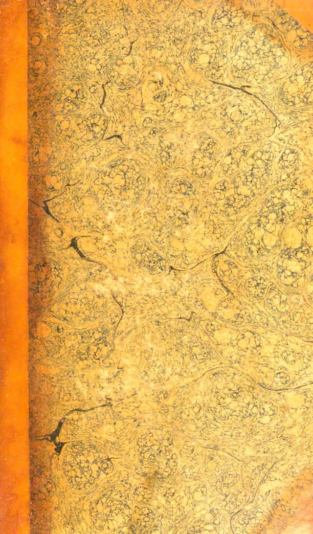 digitised image 1