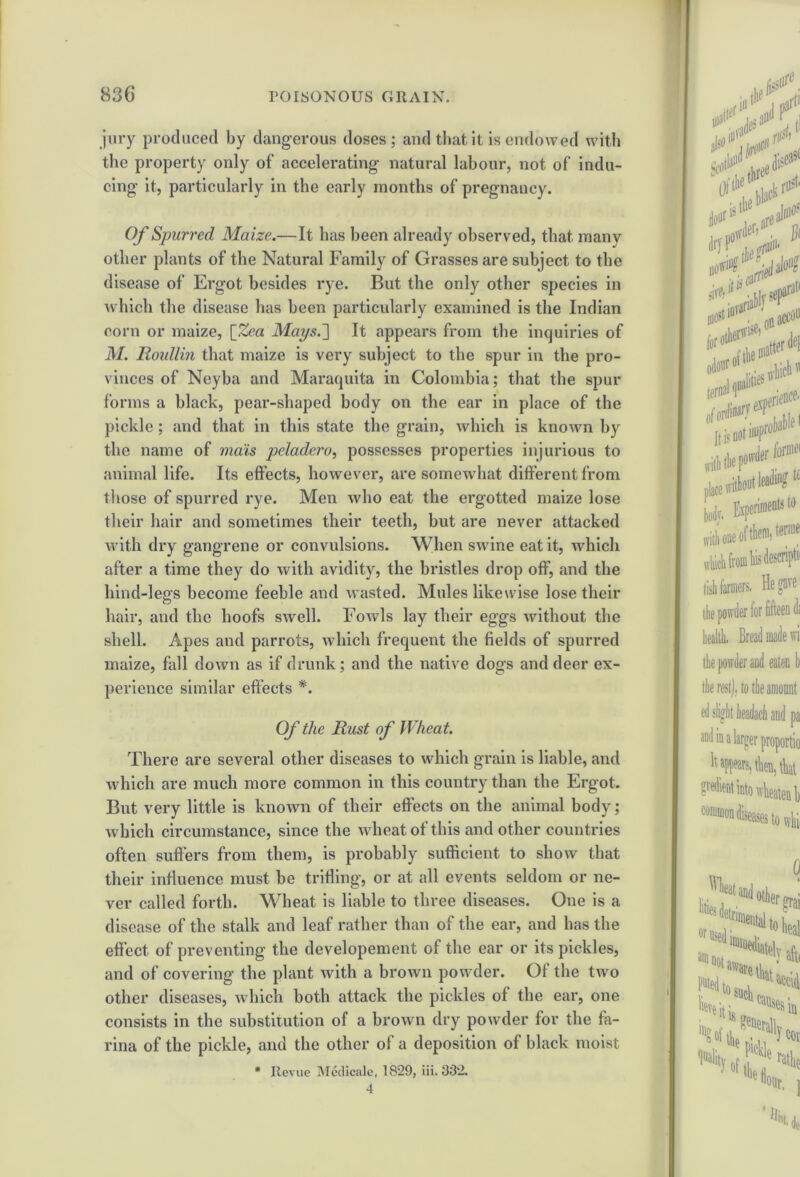 jury produced by dangerous doses ; and that it is endowed with the property only of accelerating natural labour, not of indu- cing it, particularly in the early months of pregnancy. Of Spurred Maize.—It has been already observed, that many other plants of the Natural Family of Grasses are subject to the disease of Ergot besides rye. But the only other species in which the disease has been particularly examined is the Indian corn or maize, [Zea Mays.'] It appears from the inquiries of M. Roullin that maize is very subject to the spur in the pro- vinces of Neyba and Maraquita in Colombia; that the spur forms a black, pear-shaped body on the ear in place of the pickle; and that in this state the grain, which is known by the name of viciis pcladero, possesses properties injurious to animal life. Its effects, however, are somewhat different from those of spurred rye. Men who eat the ergotted maize lose their hair and sometimes their teeth, but are never attacked with dry gangrene or convulsions. When swine eat it, which after a time they do with avidity, the bristles drop off, and the hind-legs become feeble and wasted. Mules likewise lose their hair, and the hoofs swell. FoavIs lay their eggs without the shell. Apes and parrots, Avhich frequent the fields of spurred maize, fall doAvn as if drunk; and the native dogs and deer ex- perience similar effects *. Of the Rust of Wheat. There are several other diseases to which grain is liable, and which are much more common in this country than the Ergot. But very little is known of their effects on the animal body; Avhich circumstance, since the wheat of this and other countries often suffers from them, is probably sufficient to show that their influence must be trifling, or at all events seldom or ne- ver called forth. Wheat is liable to three diseases. One is a disease of the stalk and leaf rather than of the ear, and has the effect of preventing the developement of the ear or its pickles, and of covering the plant with a brown powder. Of the two other diseases, which both attack the pickles of the ear, one consists in the substitution of a brown dry poAvder for the fa- rina of the pickle, and the other of a deposition of black moist * Revue Medicale, 1829, iii. 332. 4